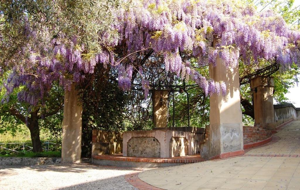 Antico Borgo Etneo Country Hotel