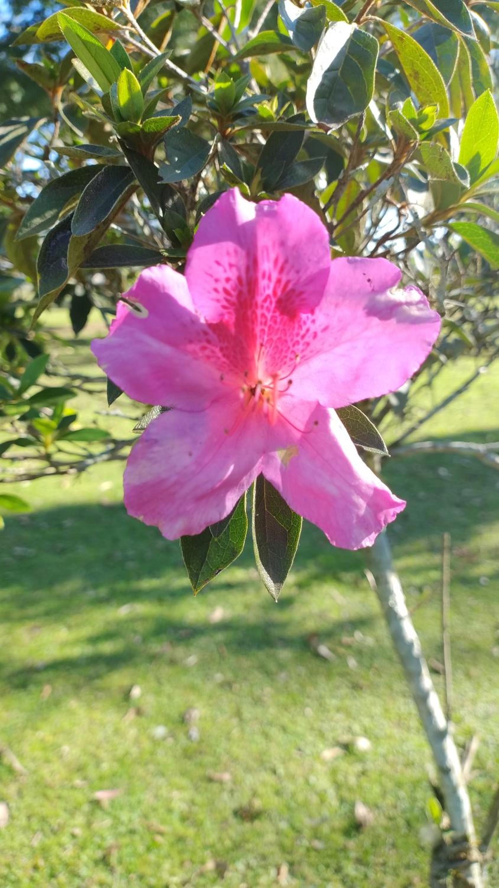 Pousada do sobrado