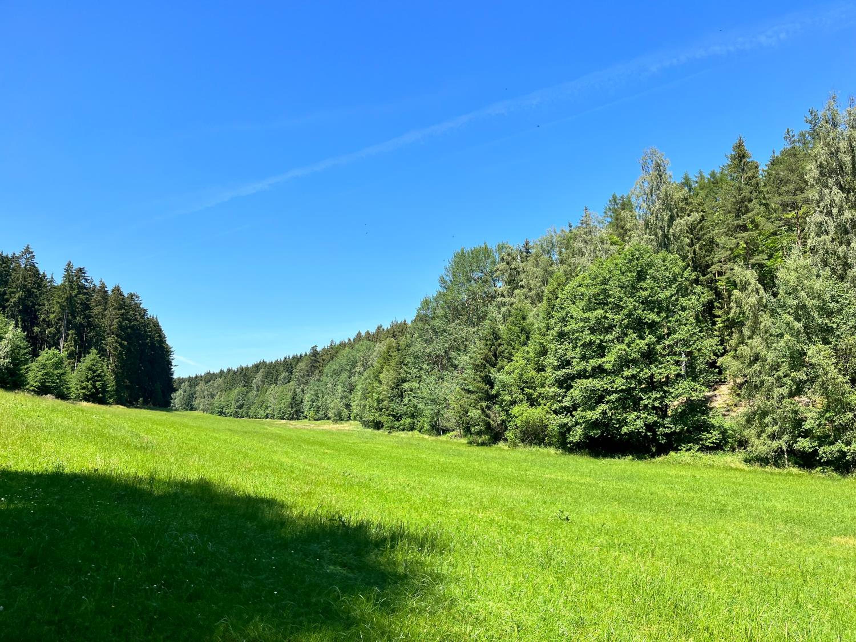 Ferienhaus Ingrid gemütliches Cottage im Grünen