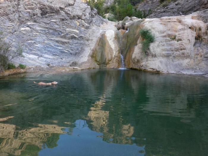 Càmping Organyà Park