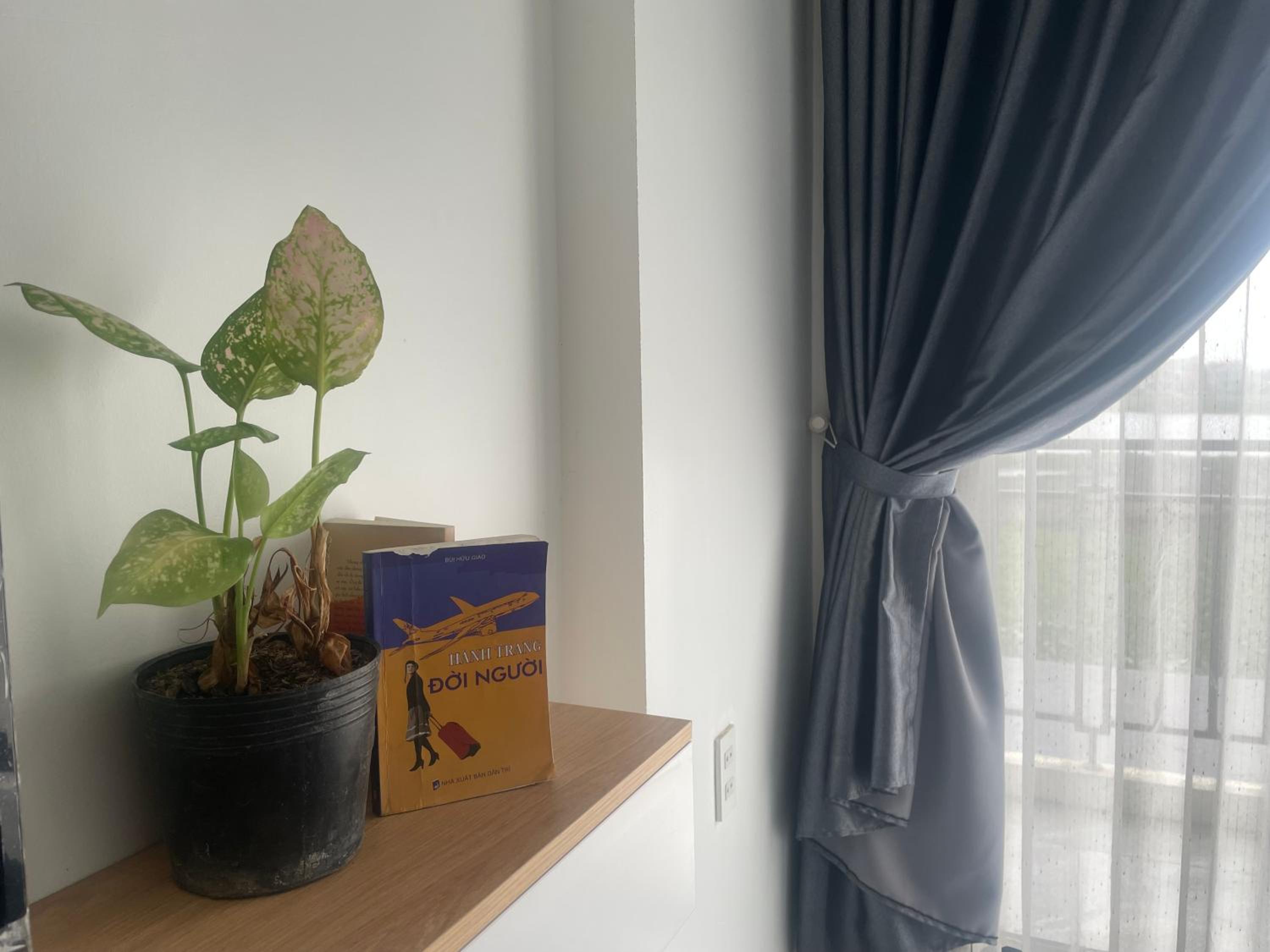 Thanh An Homestay&Guesthouse view 5