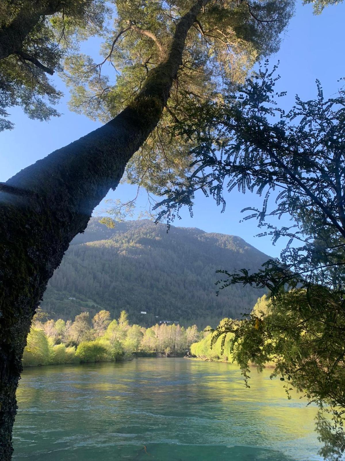 Cabañas con rio