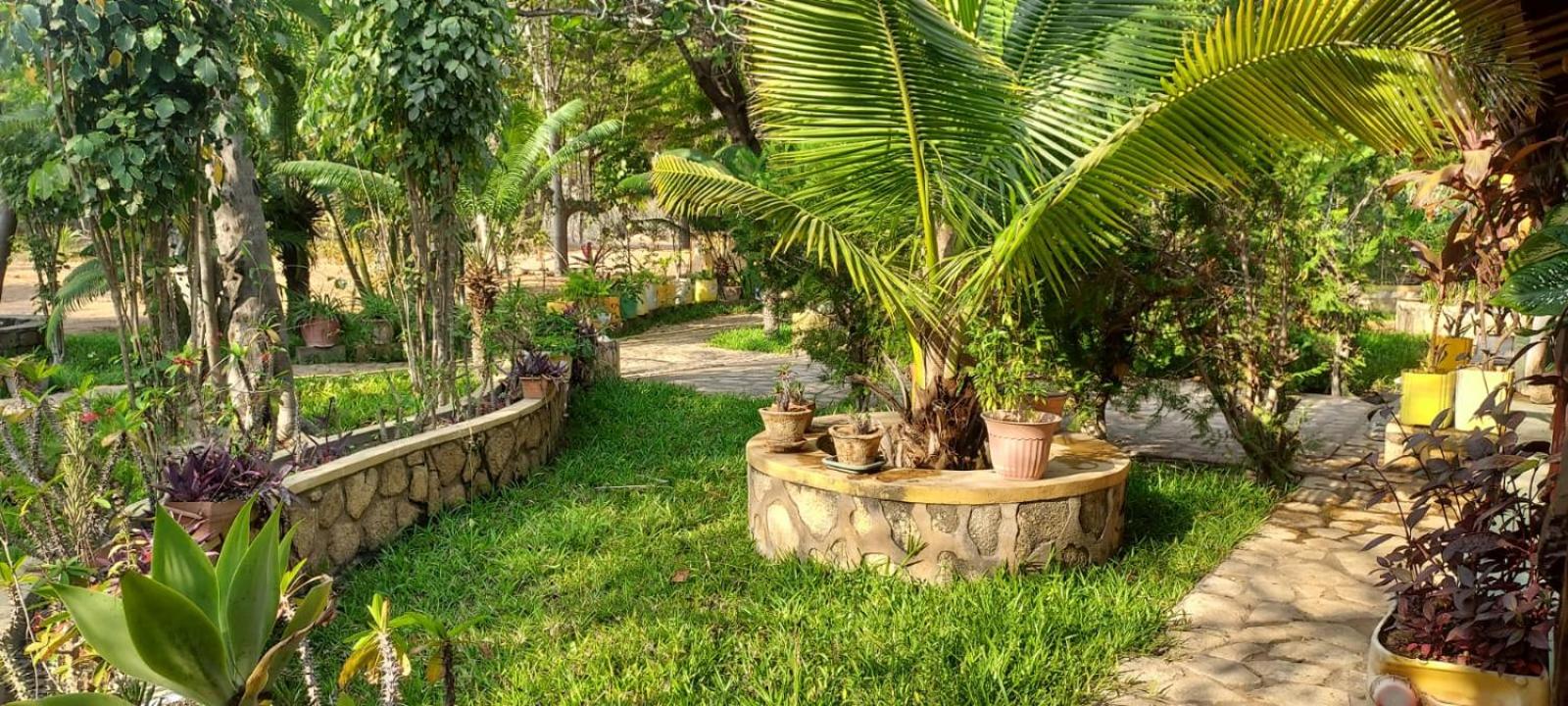 Villa Befasika
