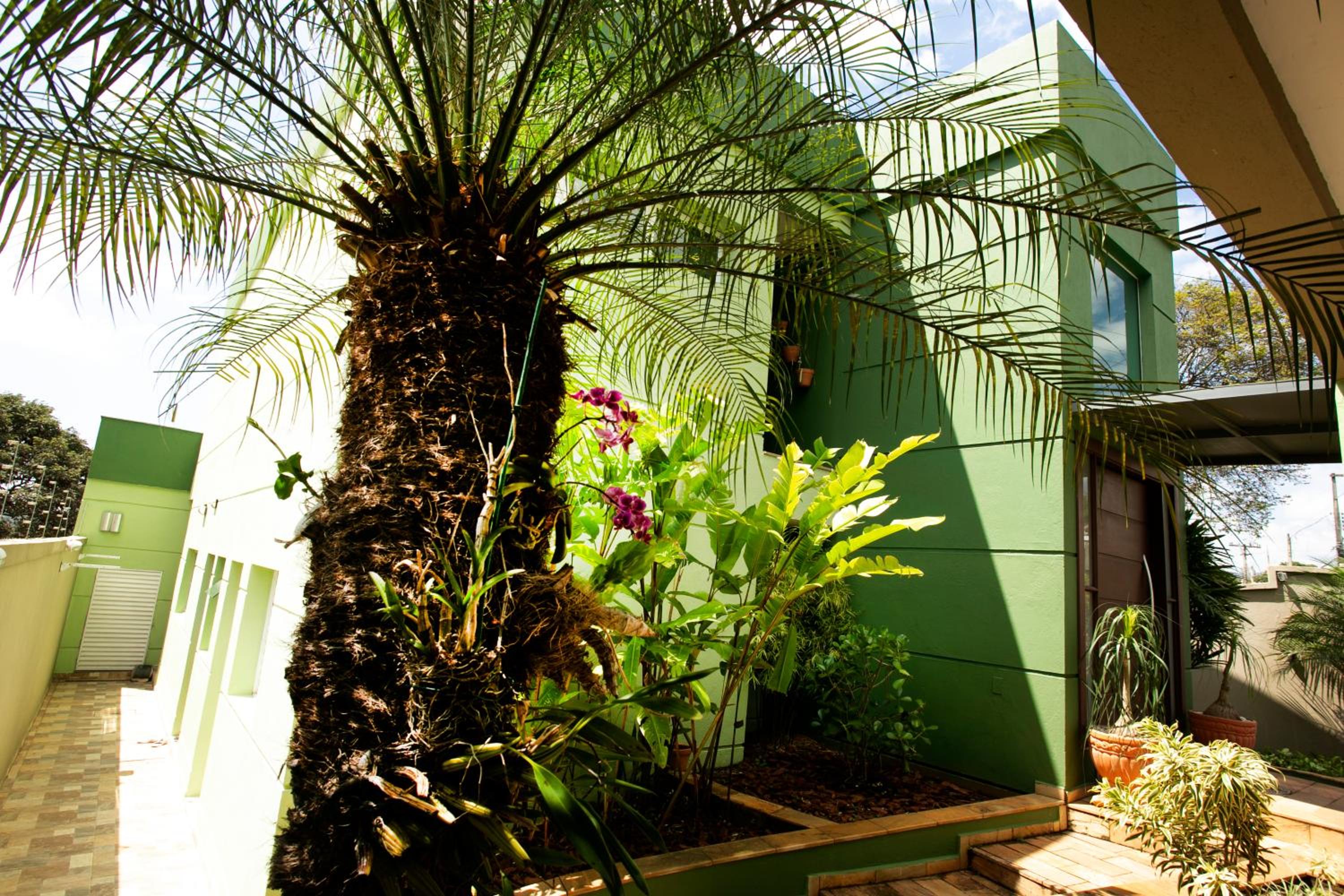 Natureza na cidade