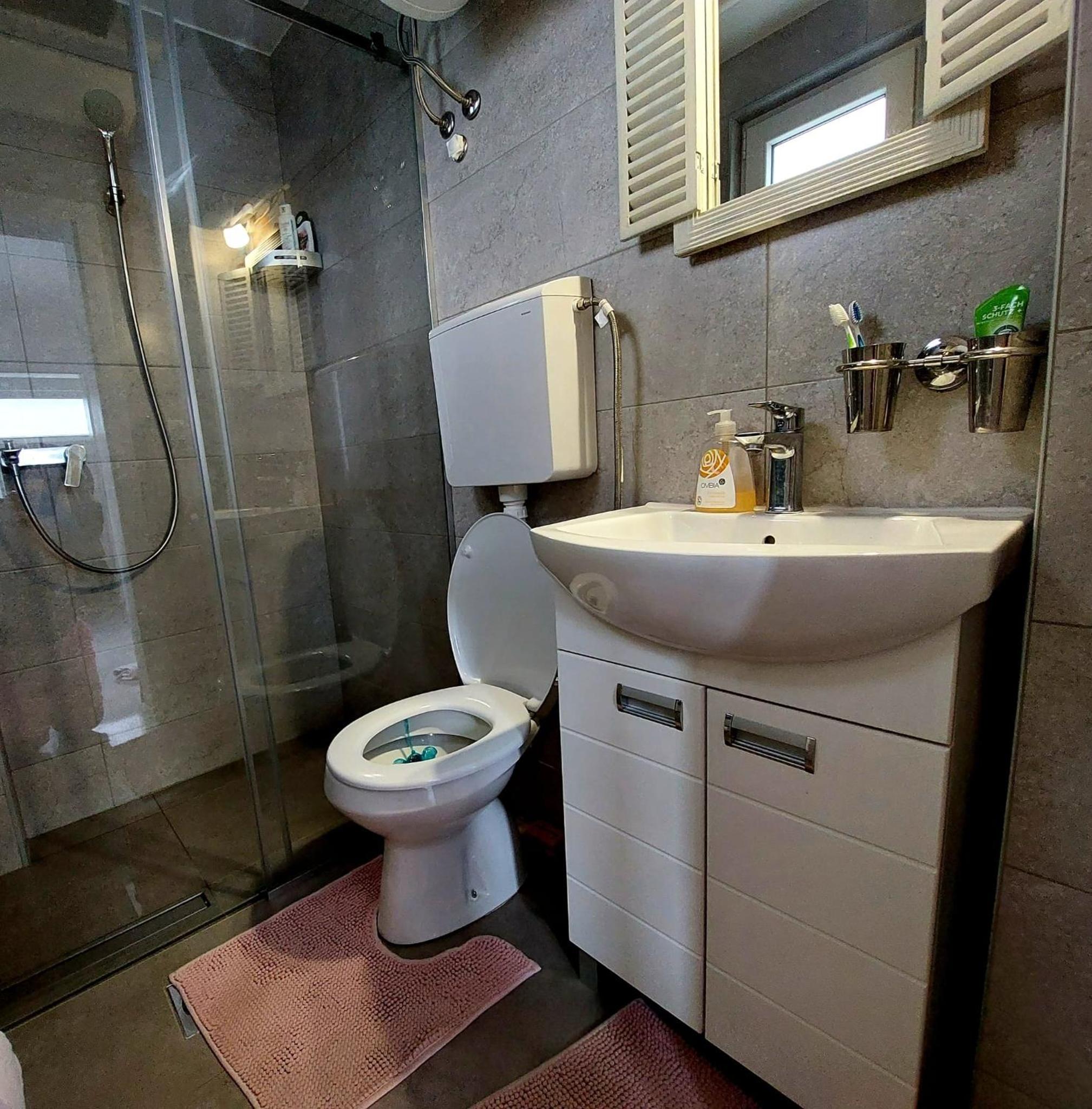 Apartmani Hanna