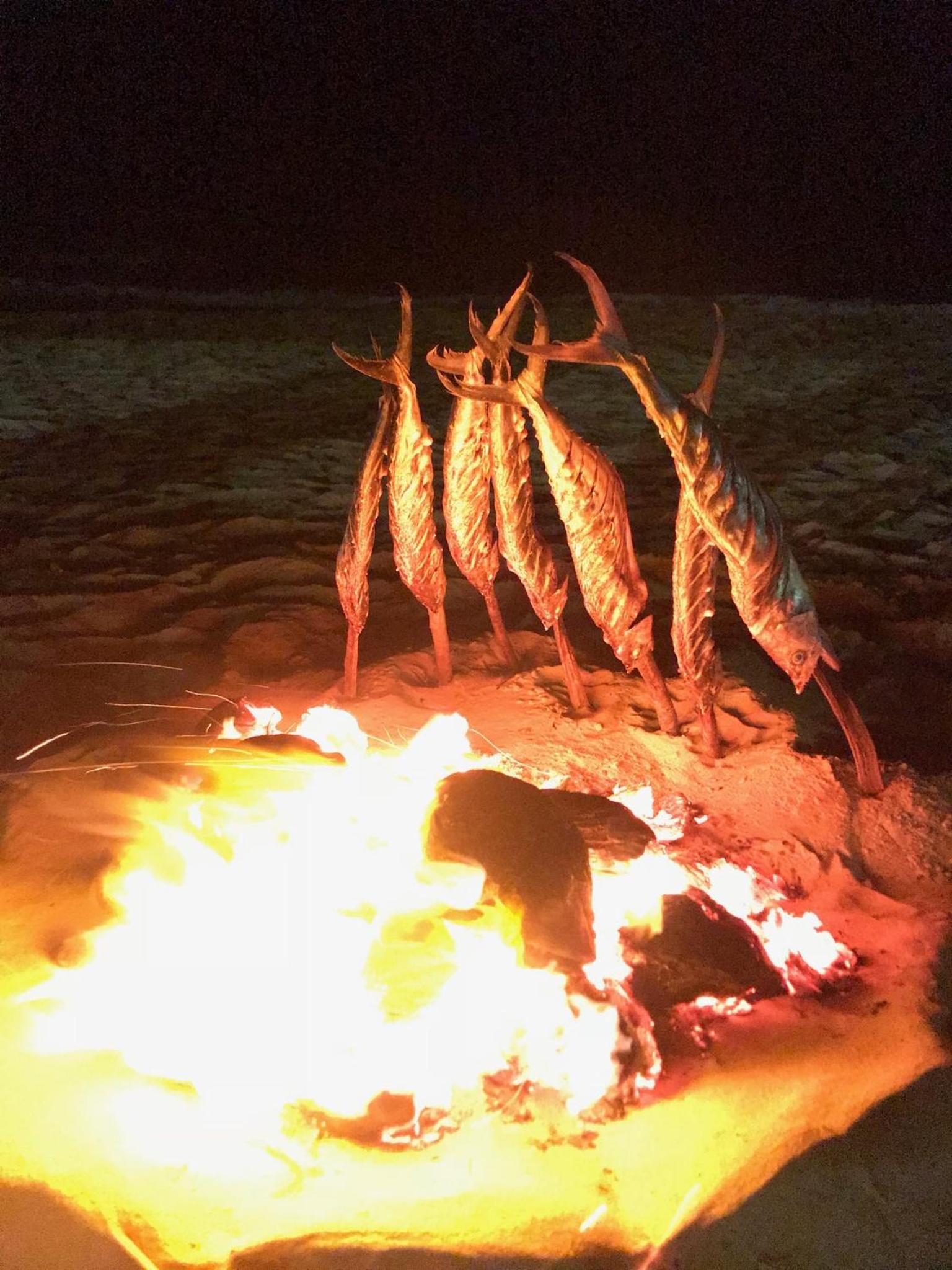 Casa Cactus Praia