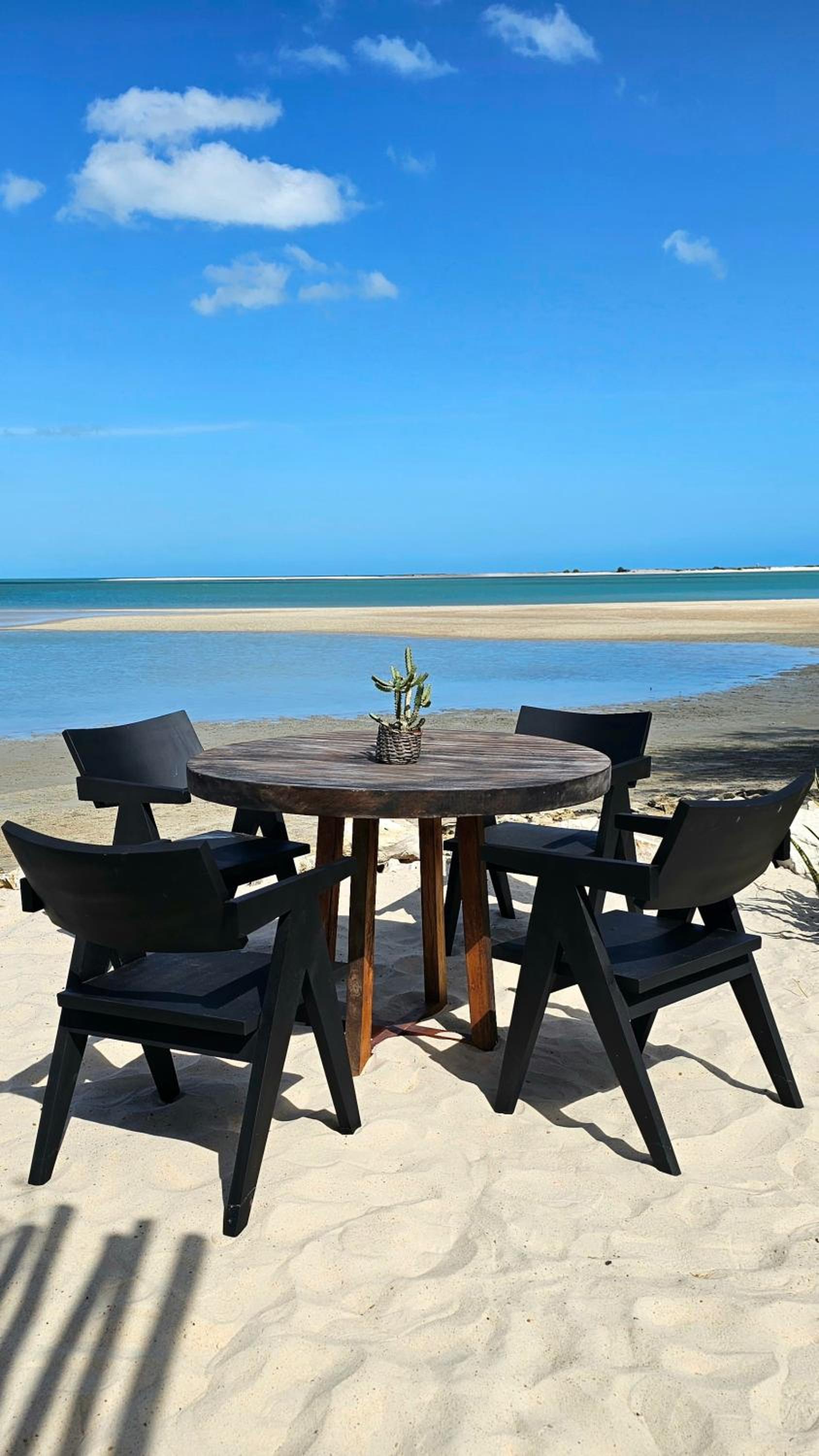 Casa Cactus Praia