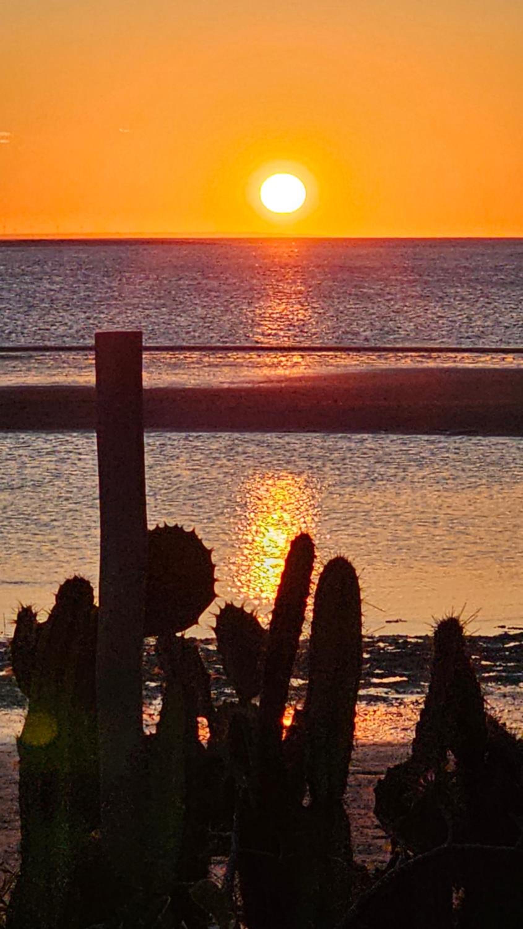 Casa Cactus Praia
