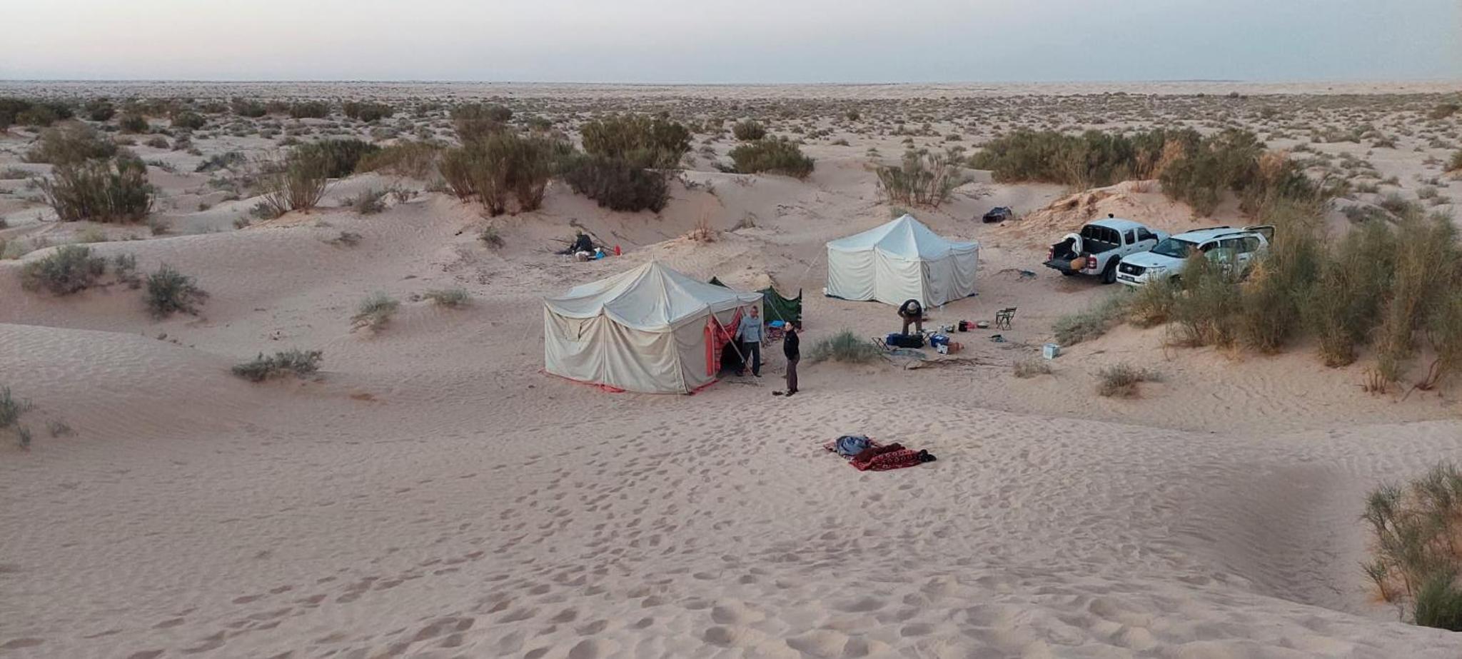 Private Camp25km-from DOUZ