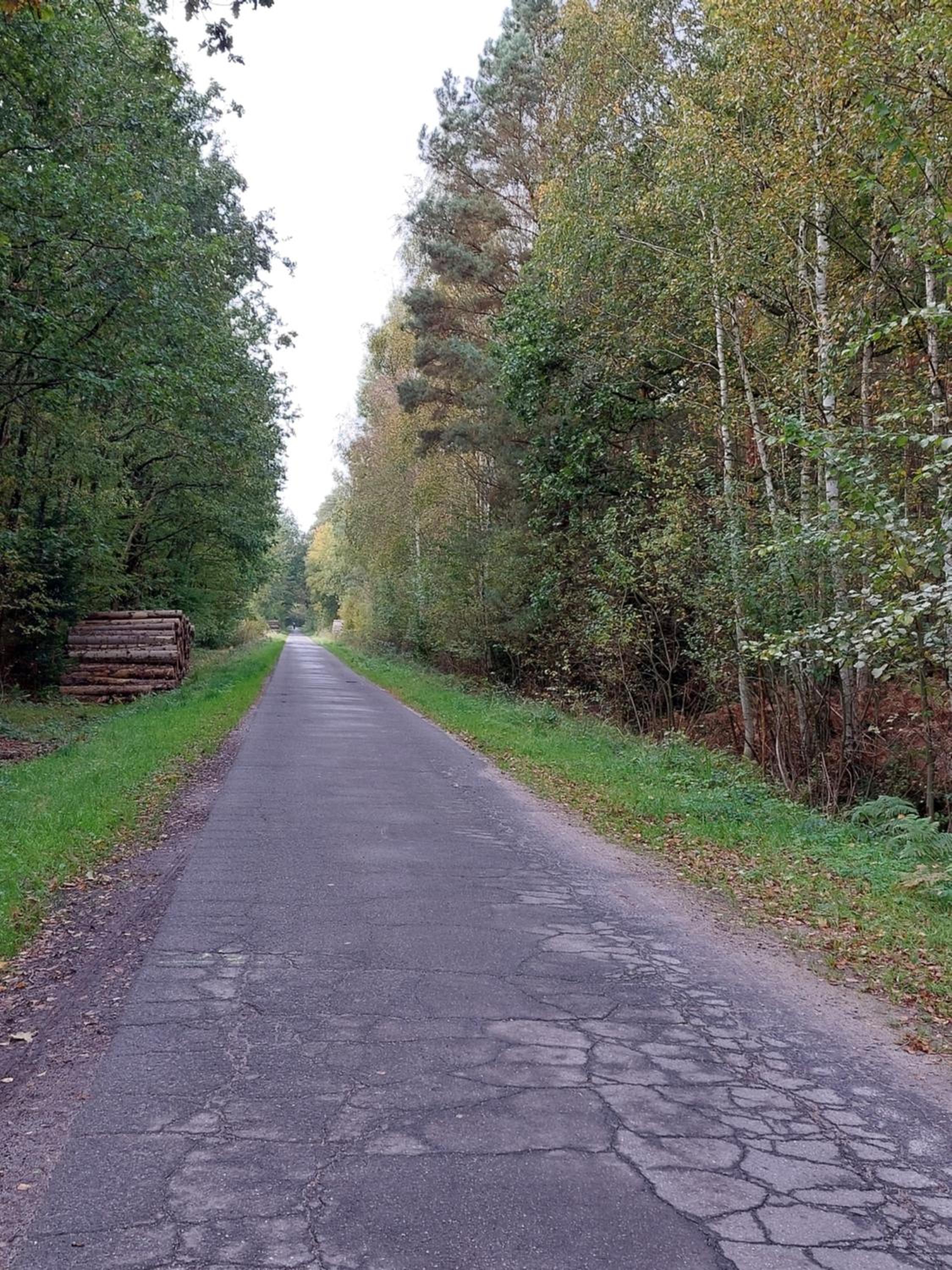 Ferienwohnung am Drömling Südheide - Kurt