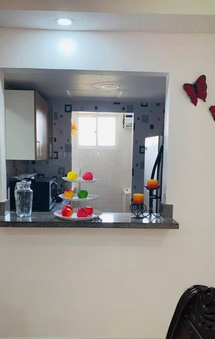 Cómodo apartamento en Santiago