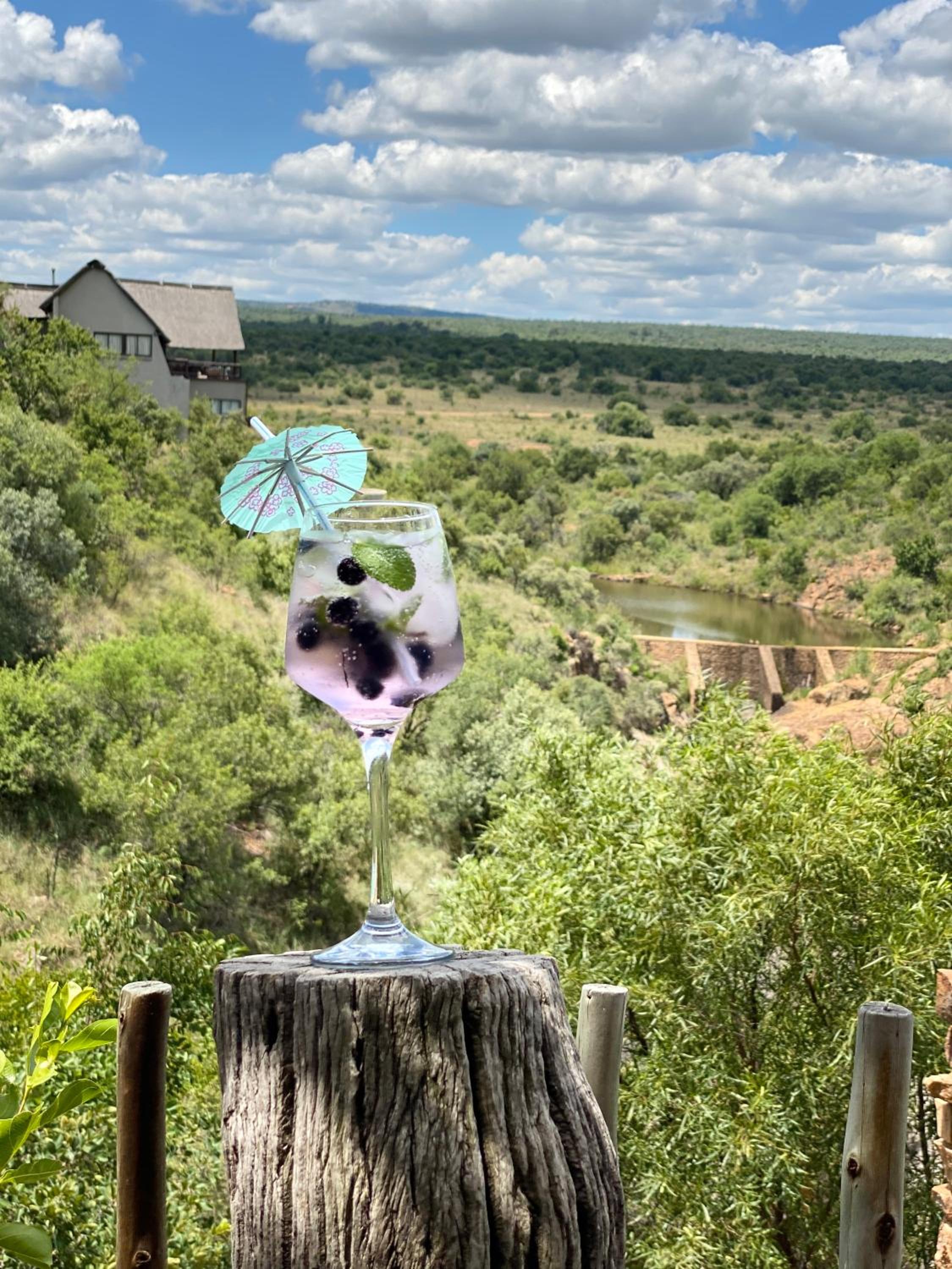 Reedbuck Lodge @Cyferfontein in Mabalingwe Reserve view 2