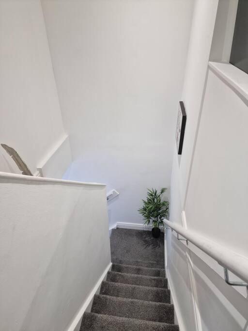New Duplex Period Delight