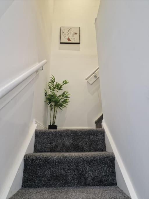 New Duplex Period Delight