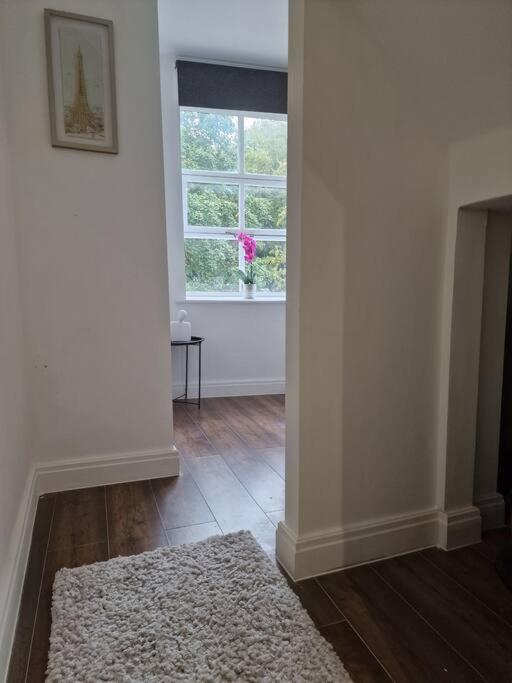 New Duplex Period Delight