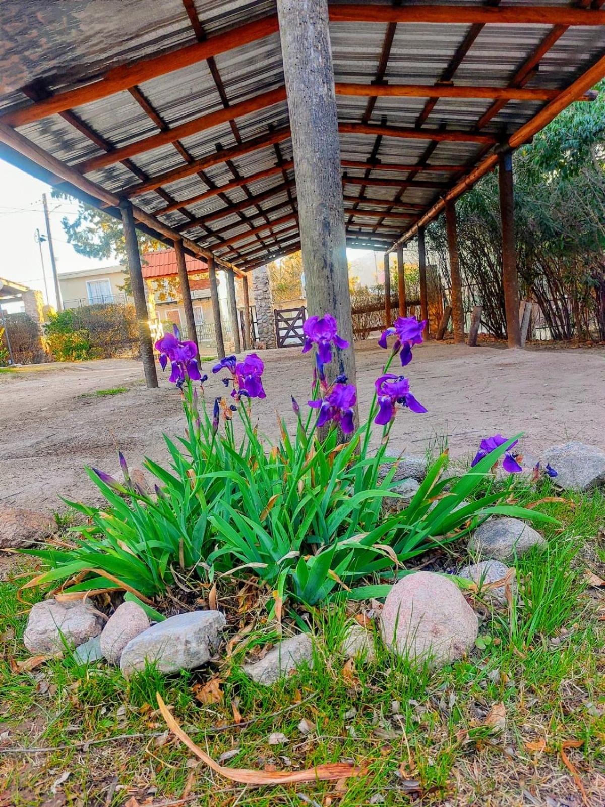 Cabañas Rincón Potrero
