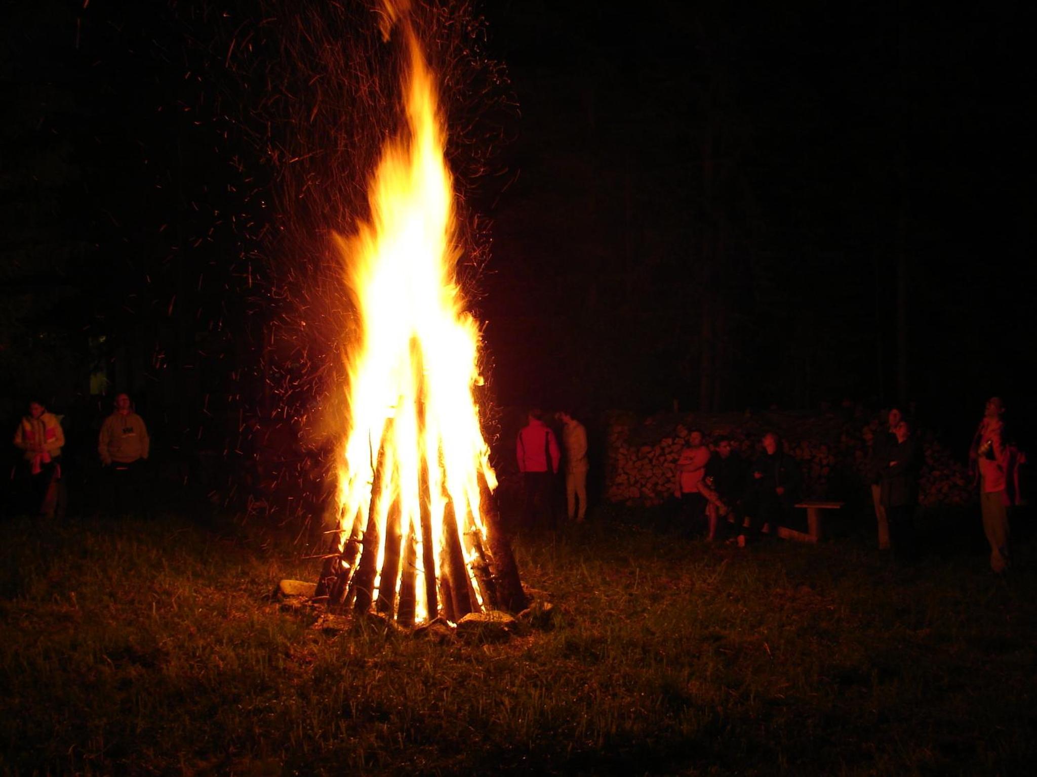 Photo 42