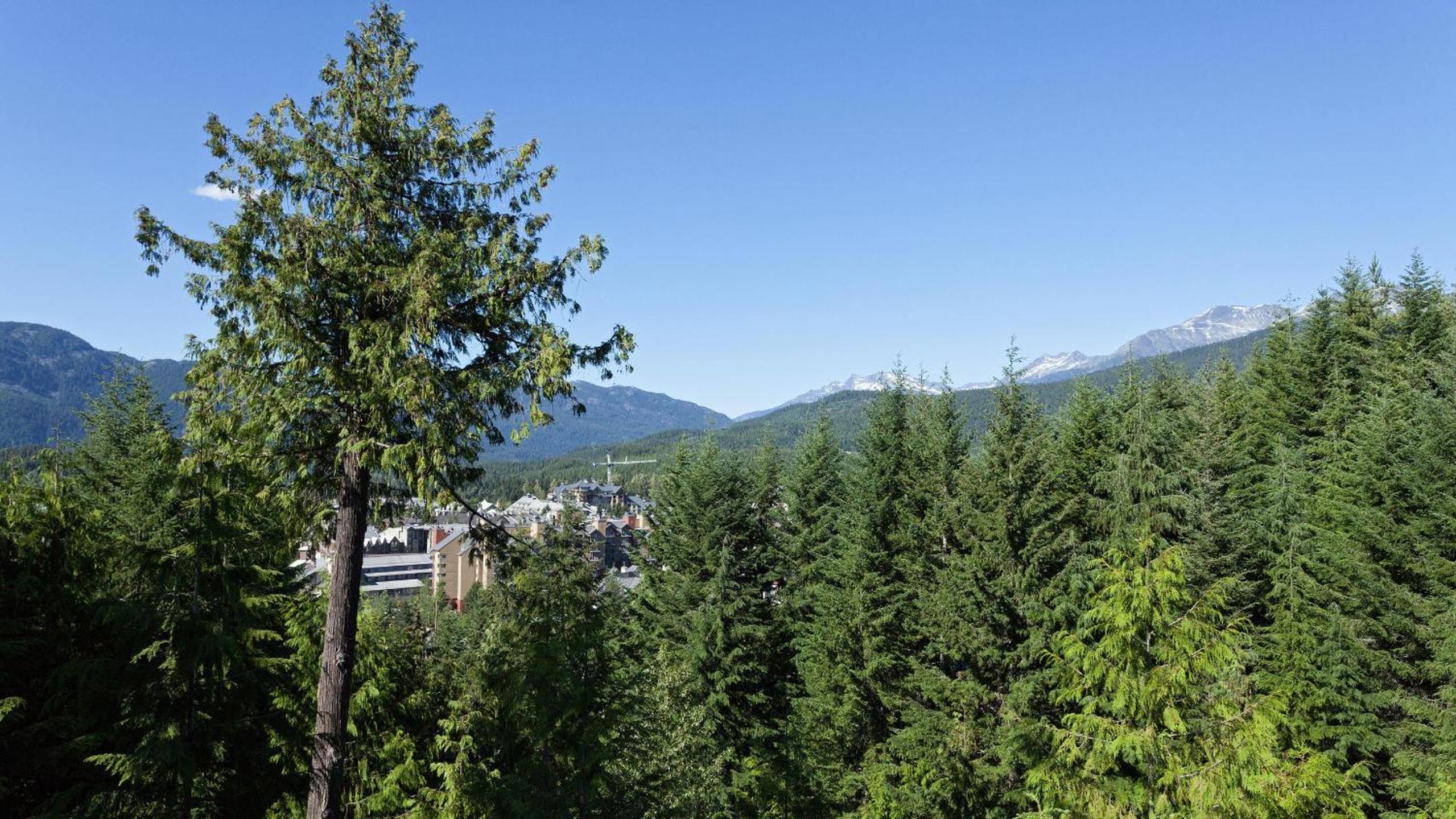 Northern Lights 15 | Family-Sized Townhome w/ Sunken Hot Tub, Fireplace & Media Den