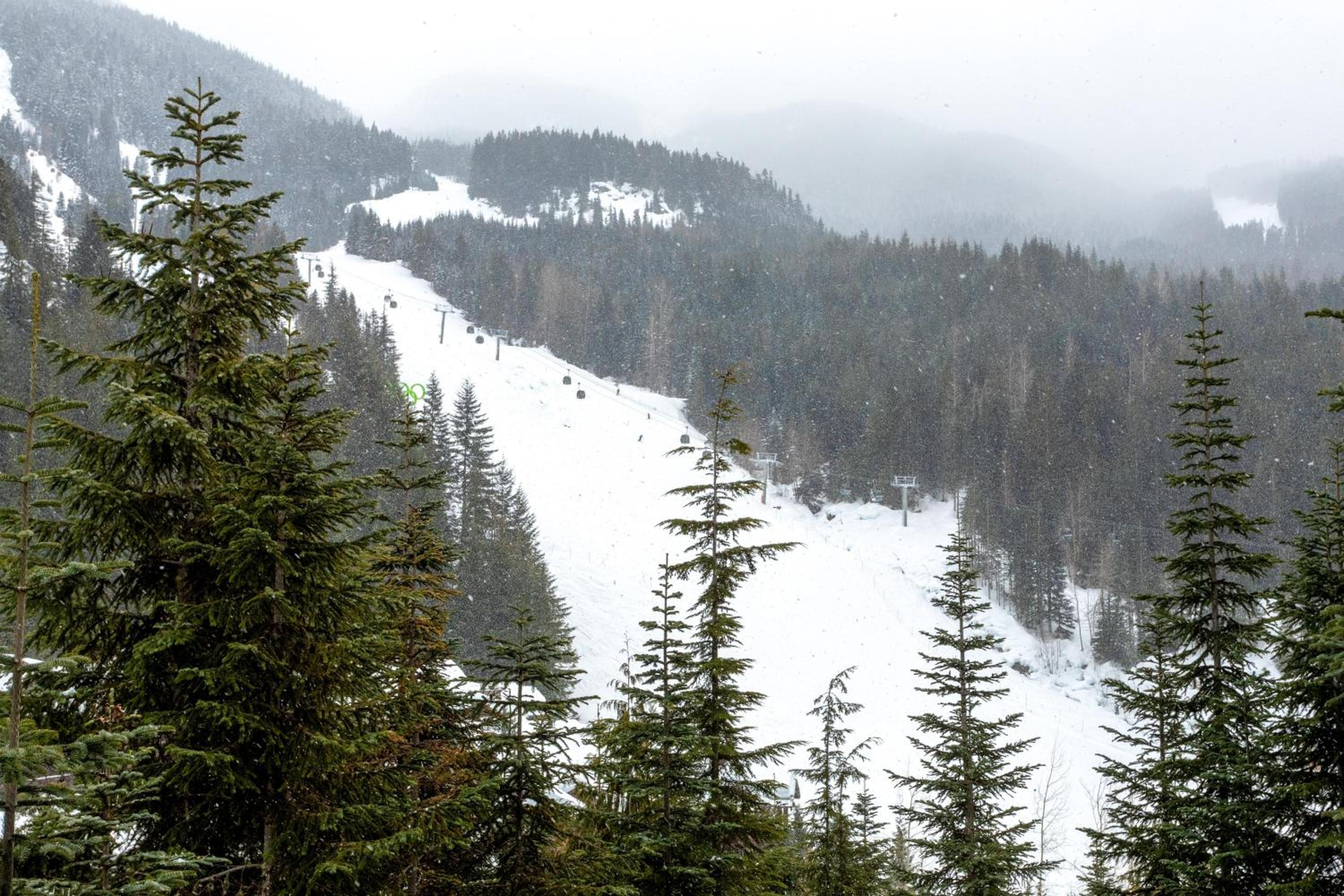 Taluswood The Heights 6 | Beautifully Updated Chalet w/ Private Hot Tub, Slopeside View, Parking