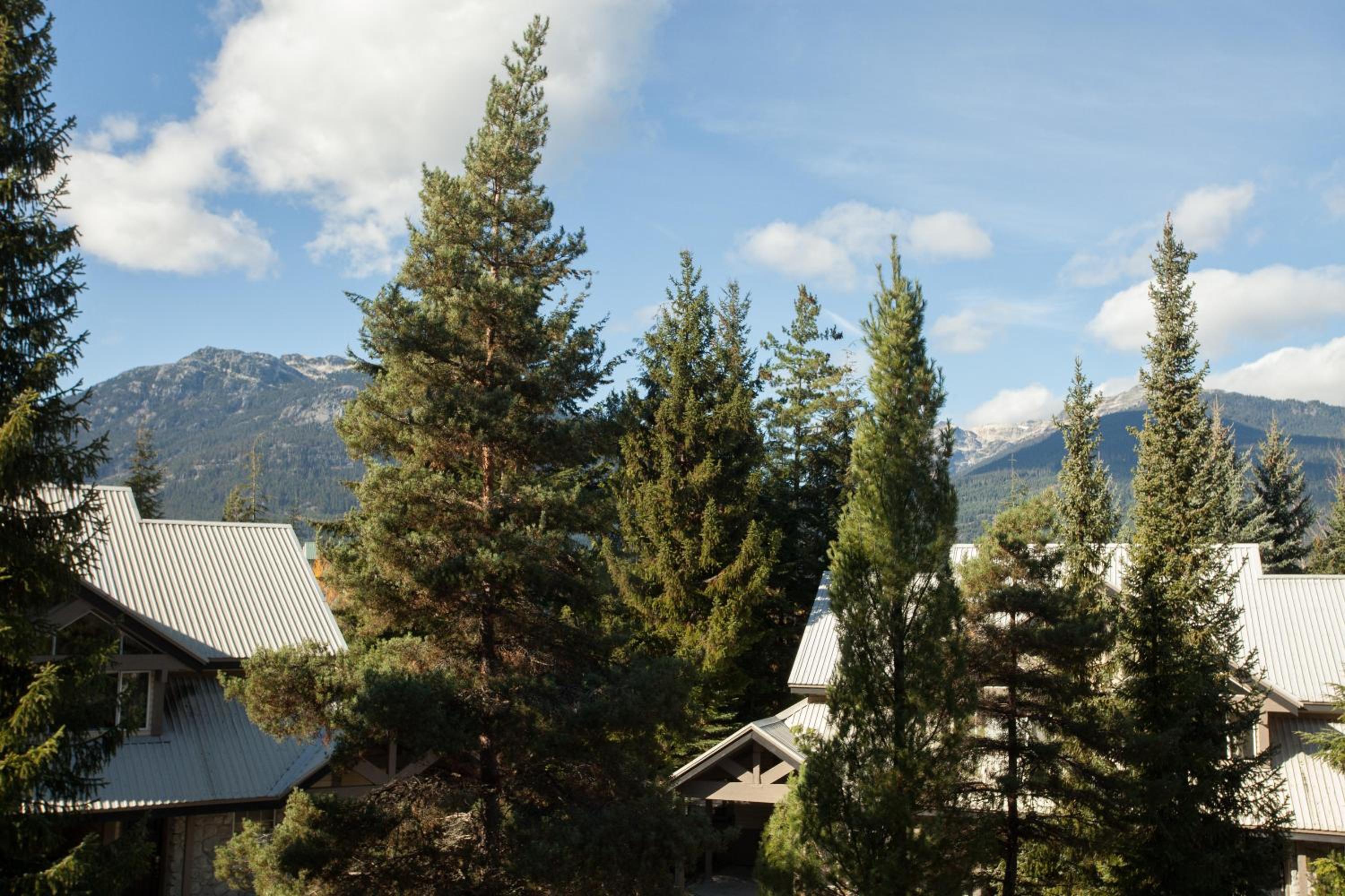 Stoneridge 12 | Modern & Bright Townhome Close to Ski Hill w/ Hot Tub & Parking