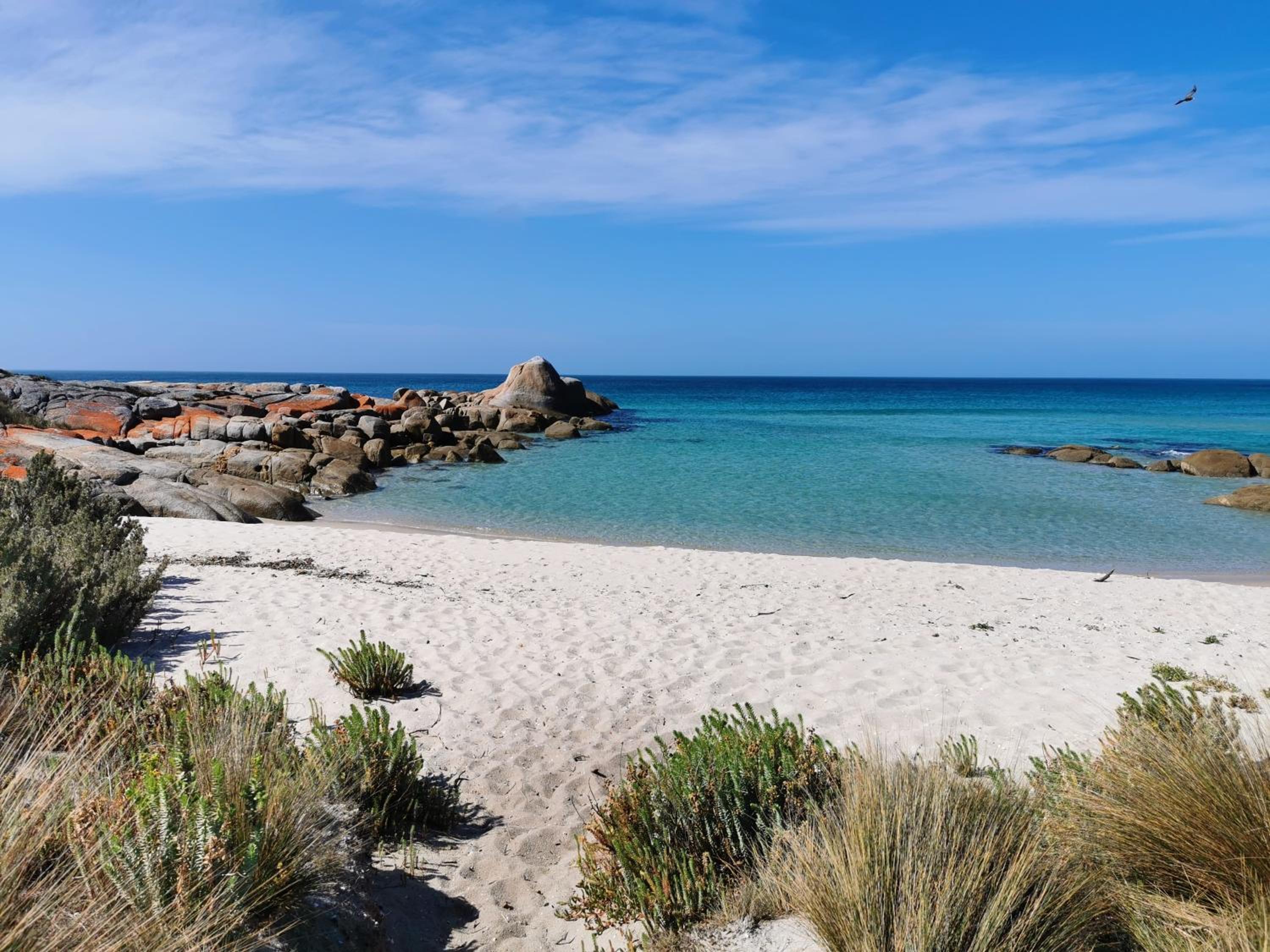 Flinders Island Masters Quarters - Lady Barron