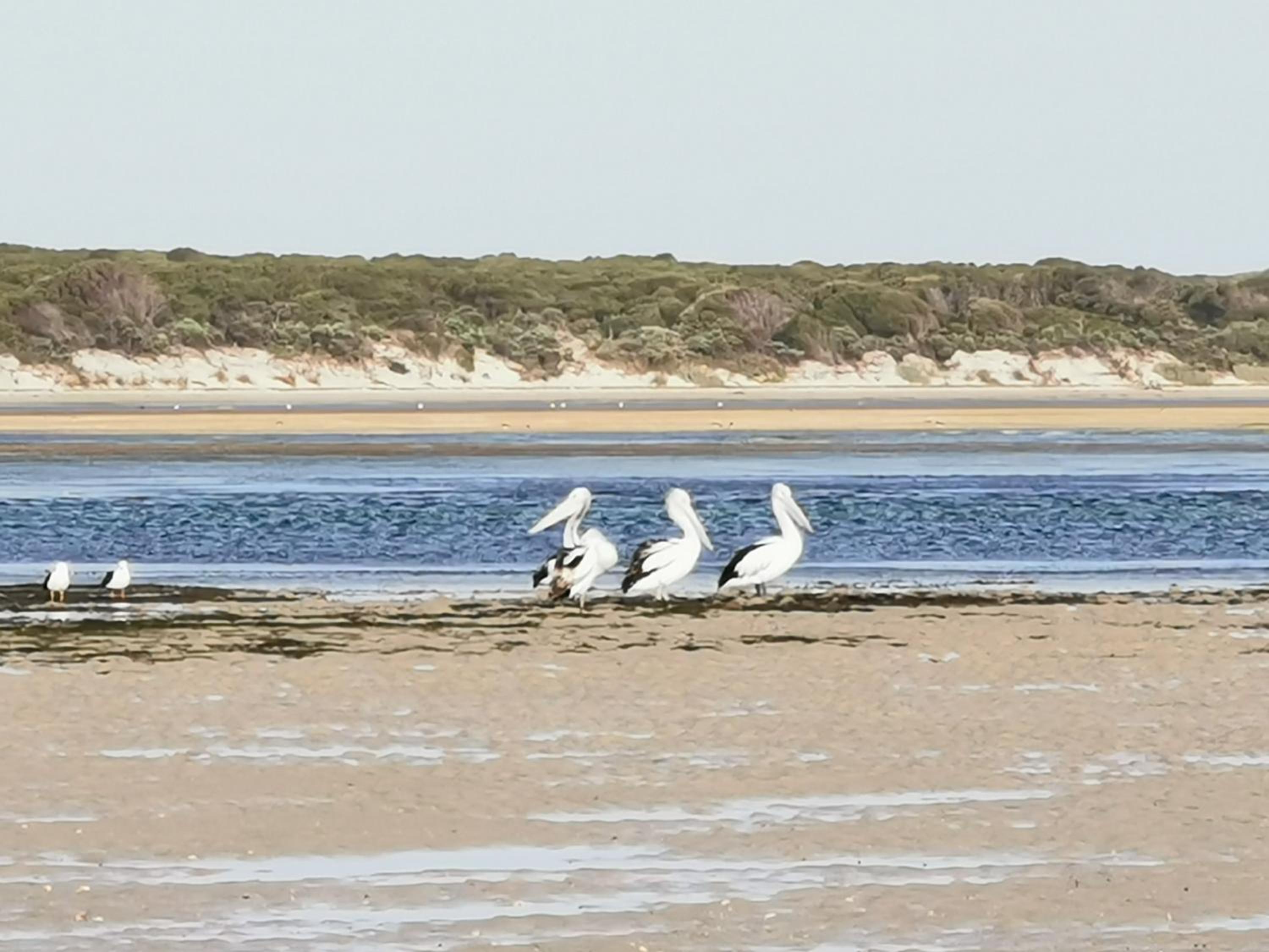 Flinders Island Masters Quarters - Lady Barron