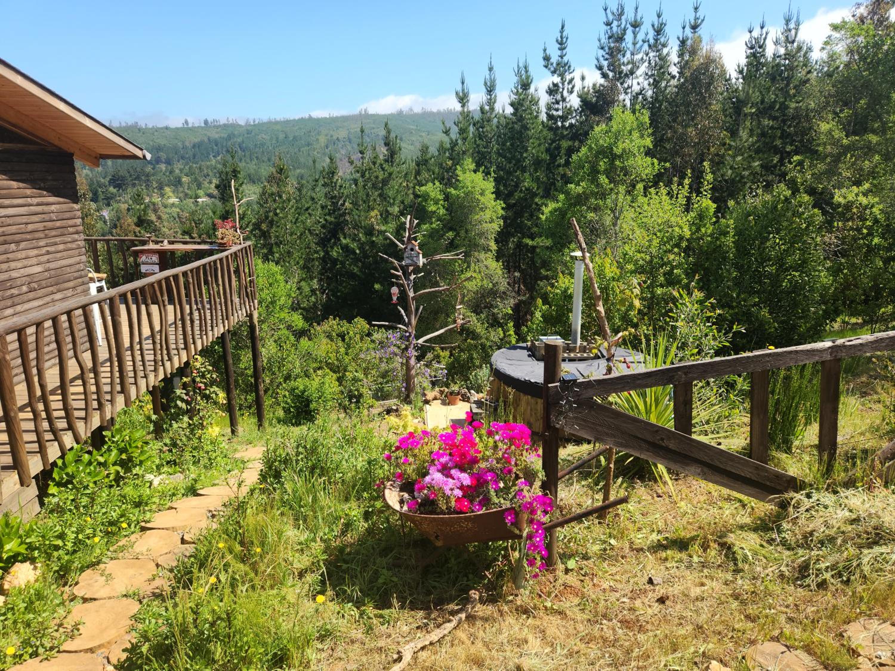 ArboLodge Vichuquen