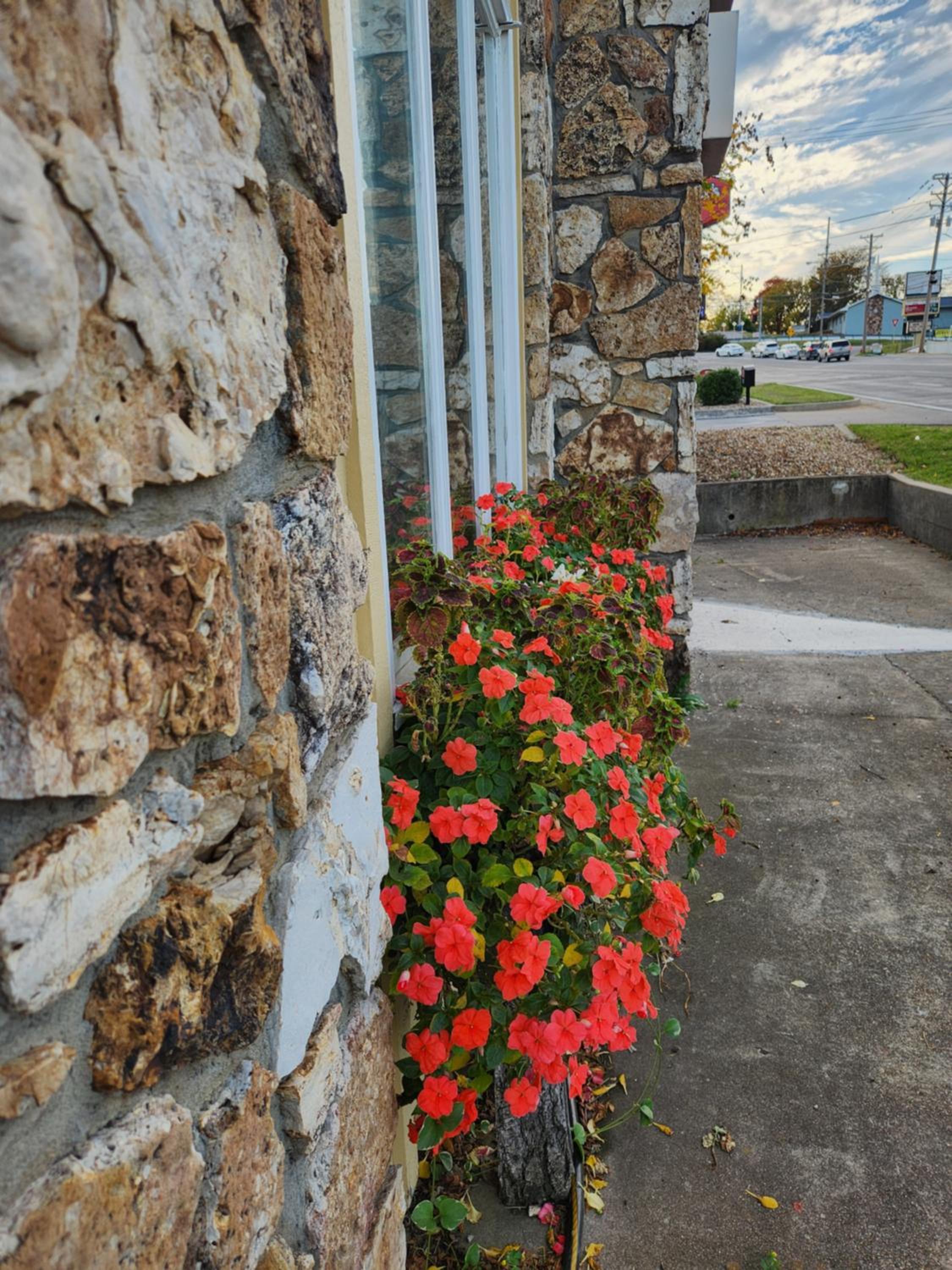 Homestead Motel