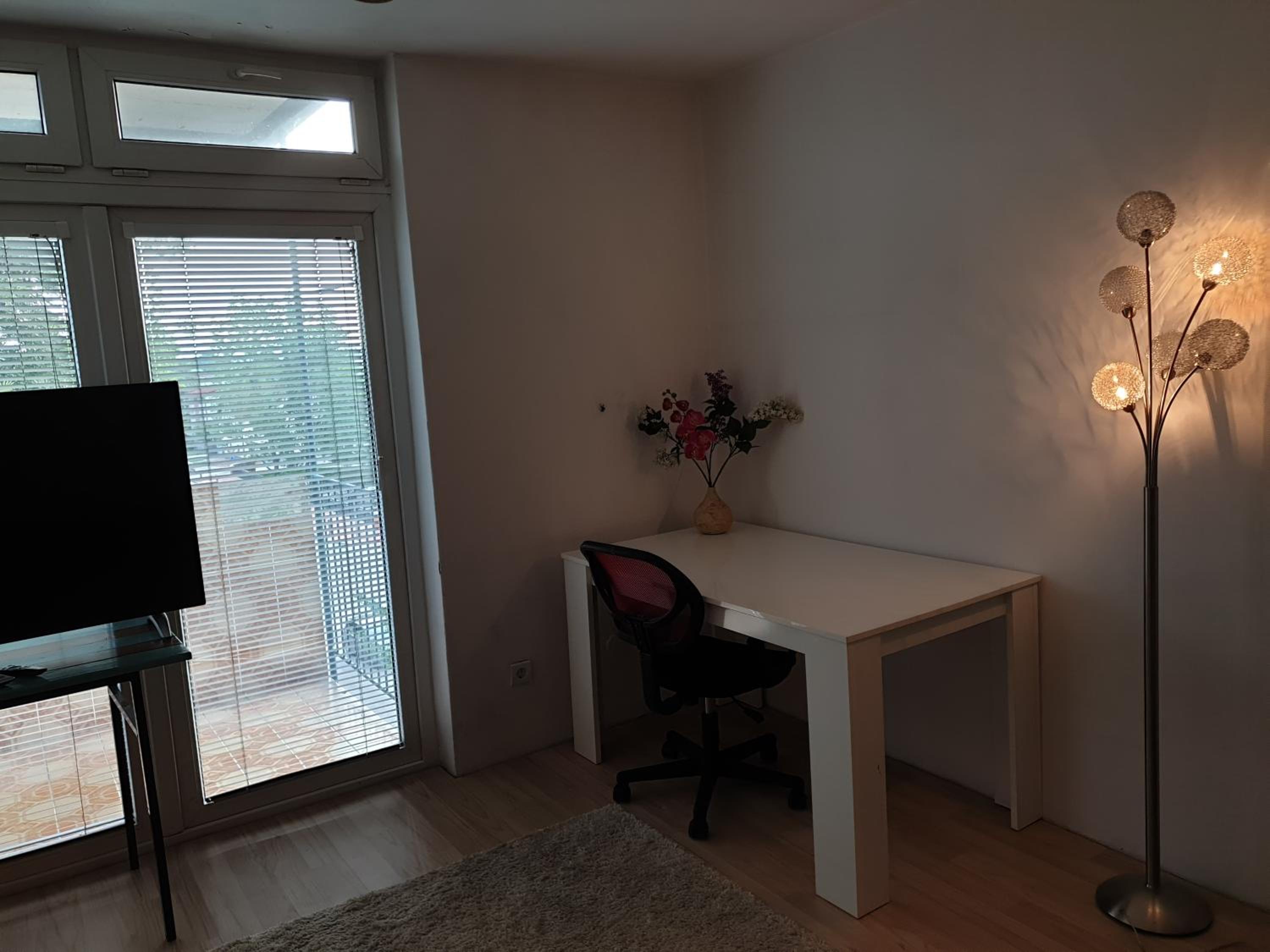 LjubljanaArt Apartment view 4