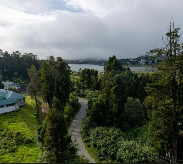 Avenue Nuwara Eliya view 2