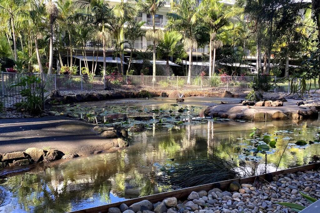 Flynns Beach Resort - Port Macquarie beachside apartment - Flynn114