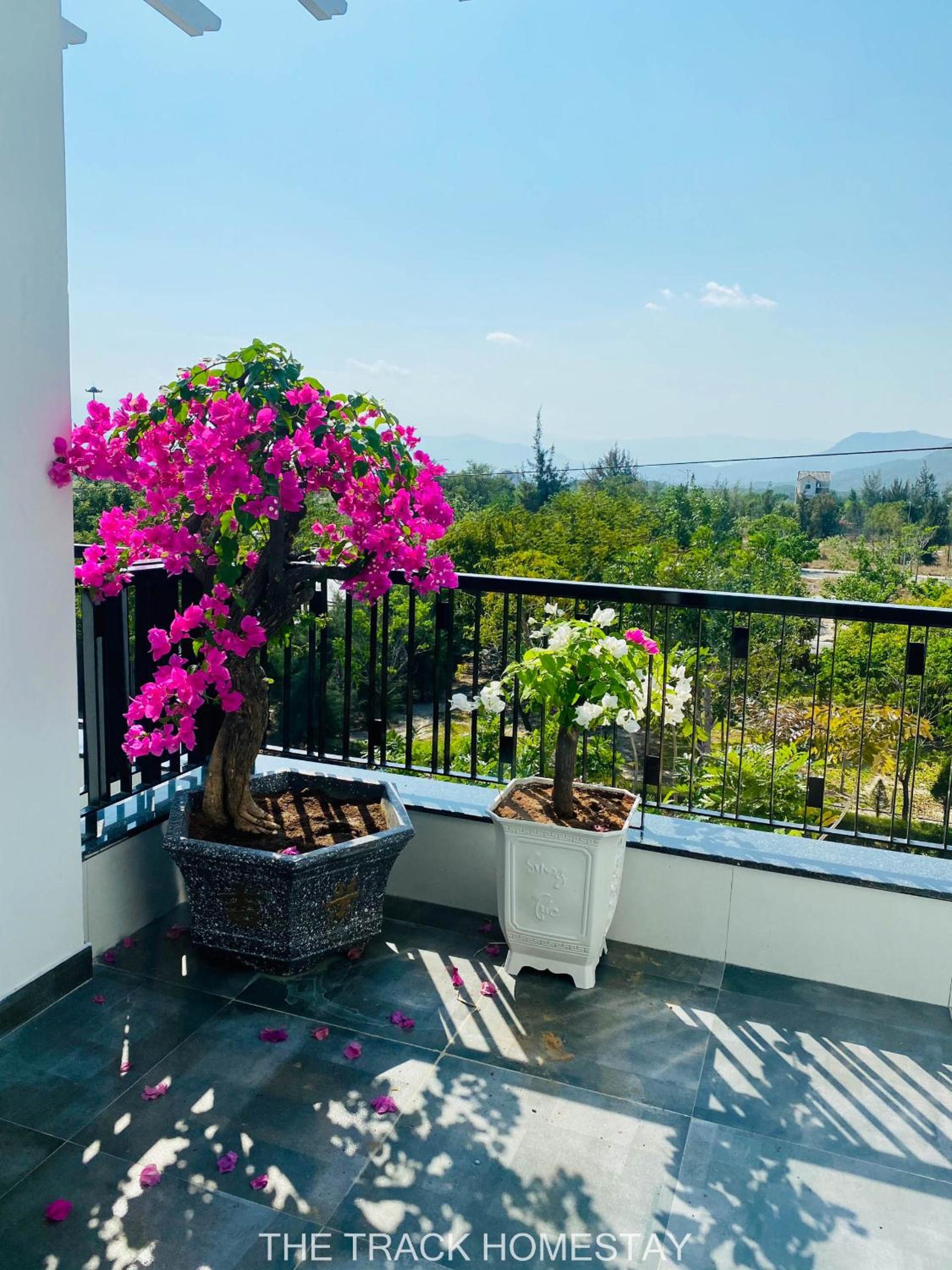 The Track Homestay - Near Bai Dai Beach view 5