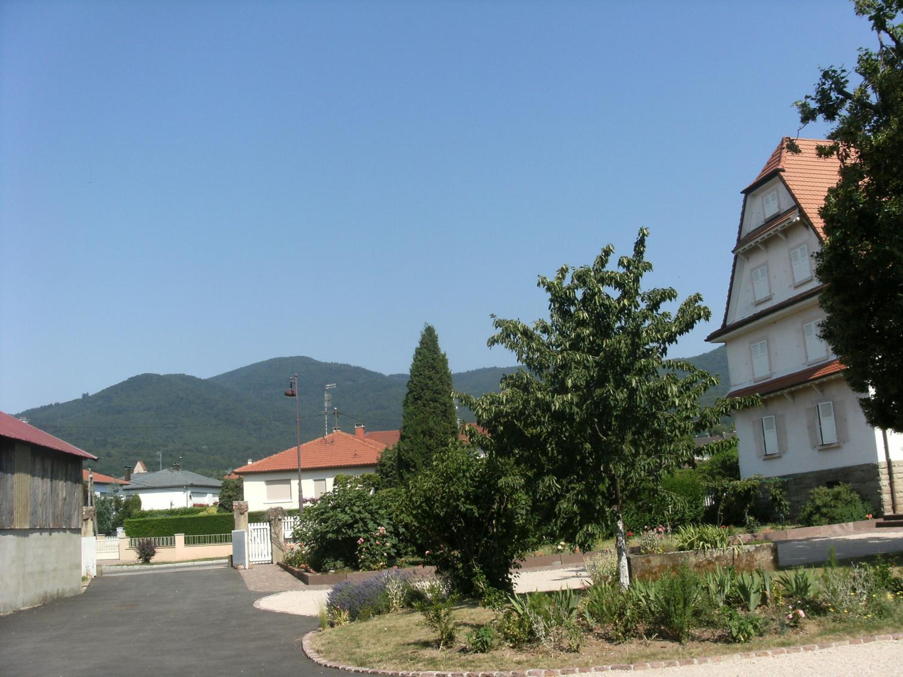 Gite Des Alisiers view 5