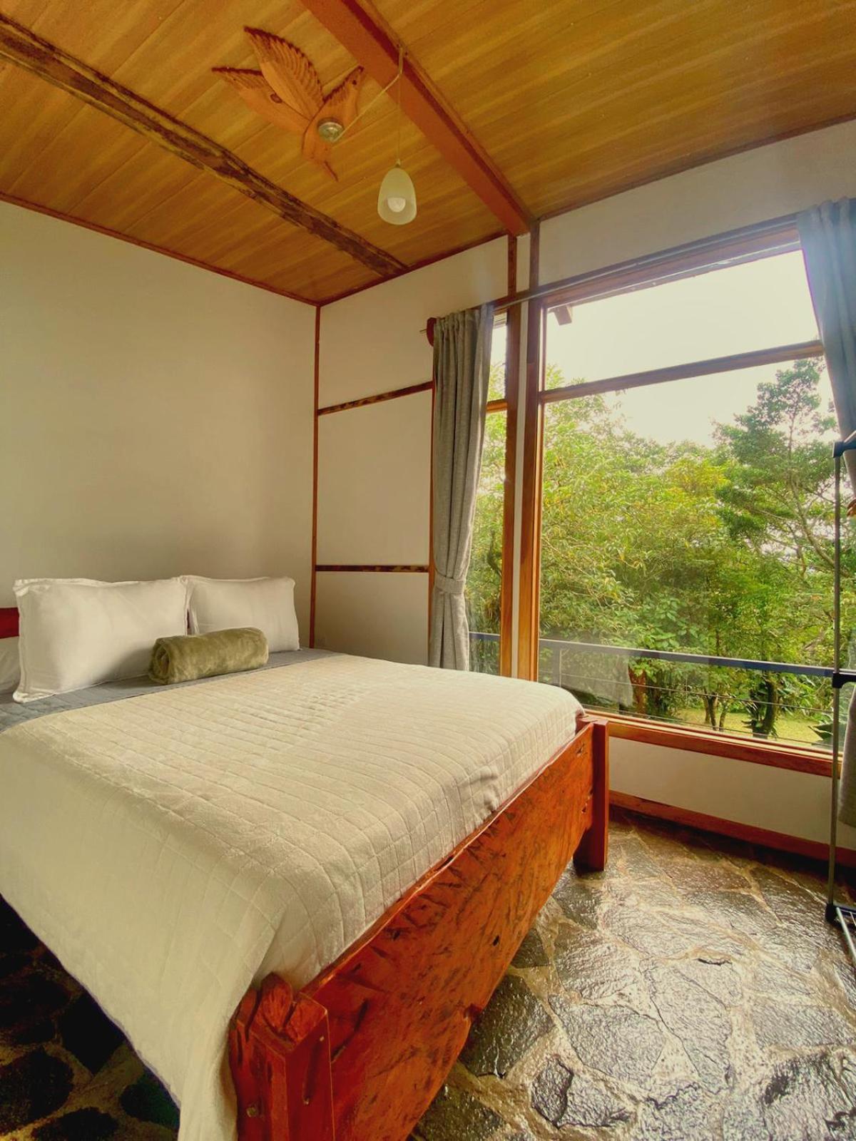 Natural Wonders House