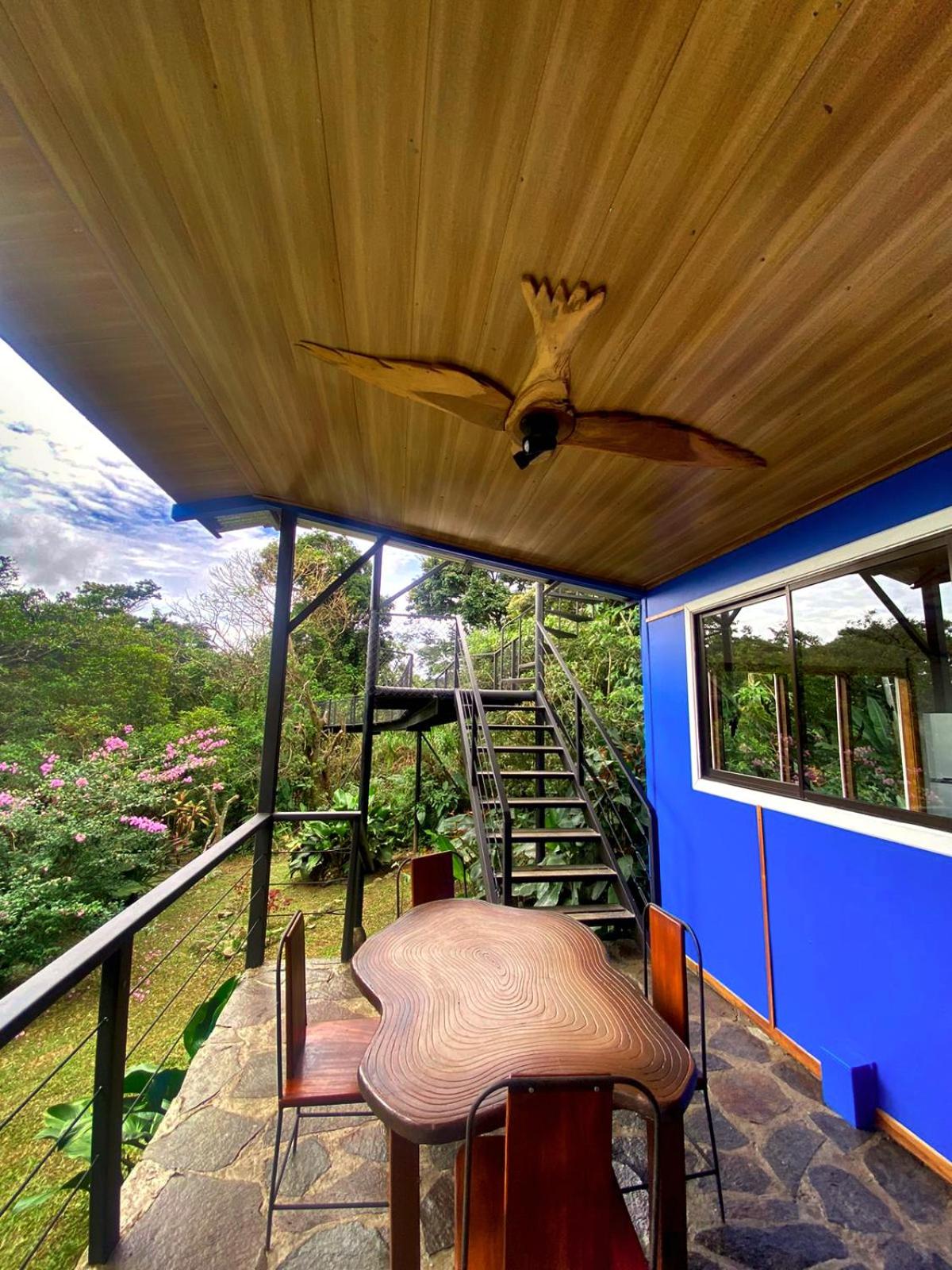 Natural Wonders House