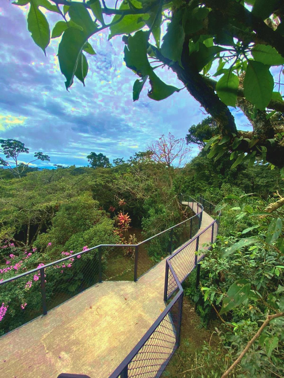 Natural Wonders House