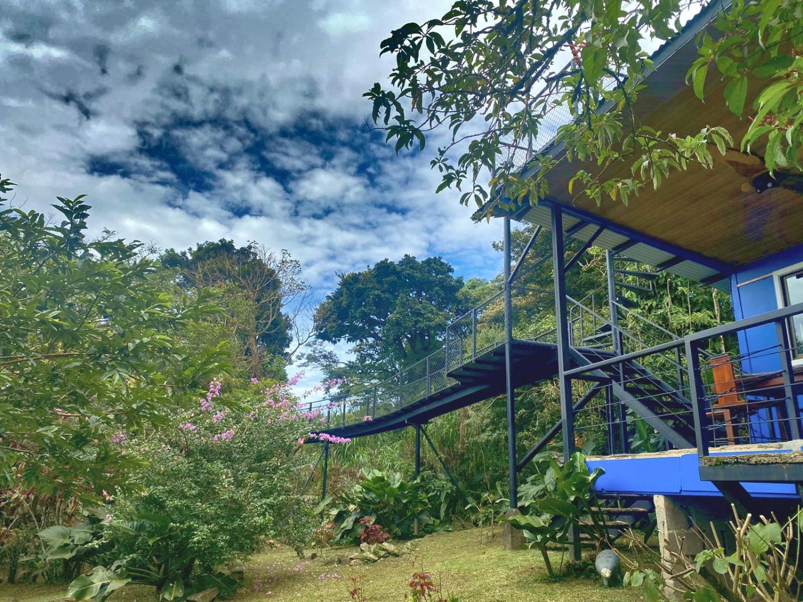 Natural Wonders House