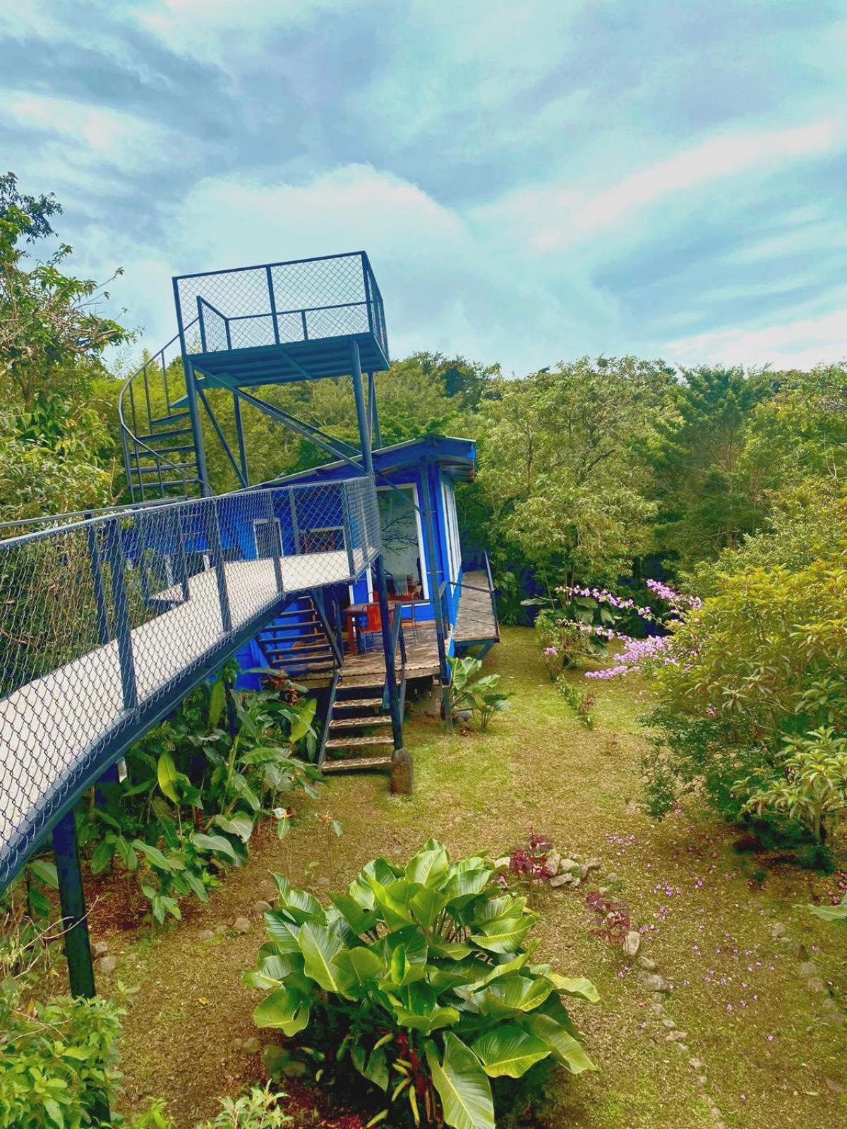 Natural Wonders House