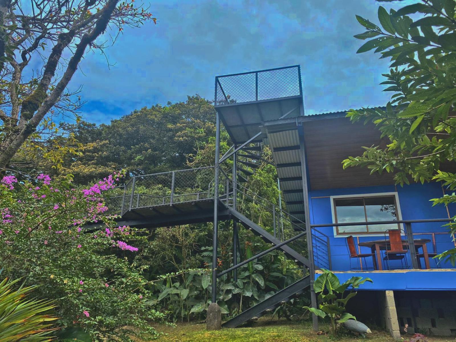 Natural Wonders House