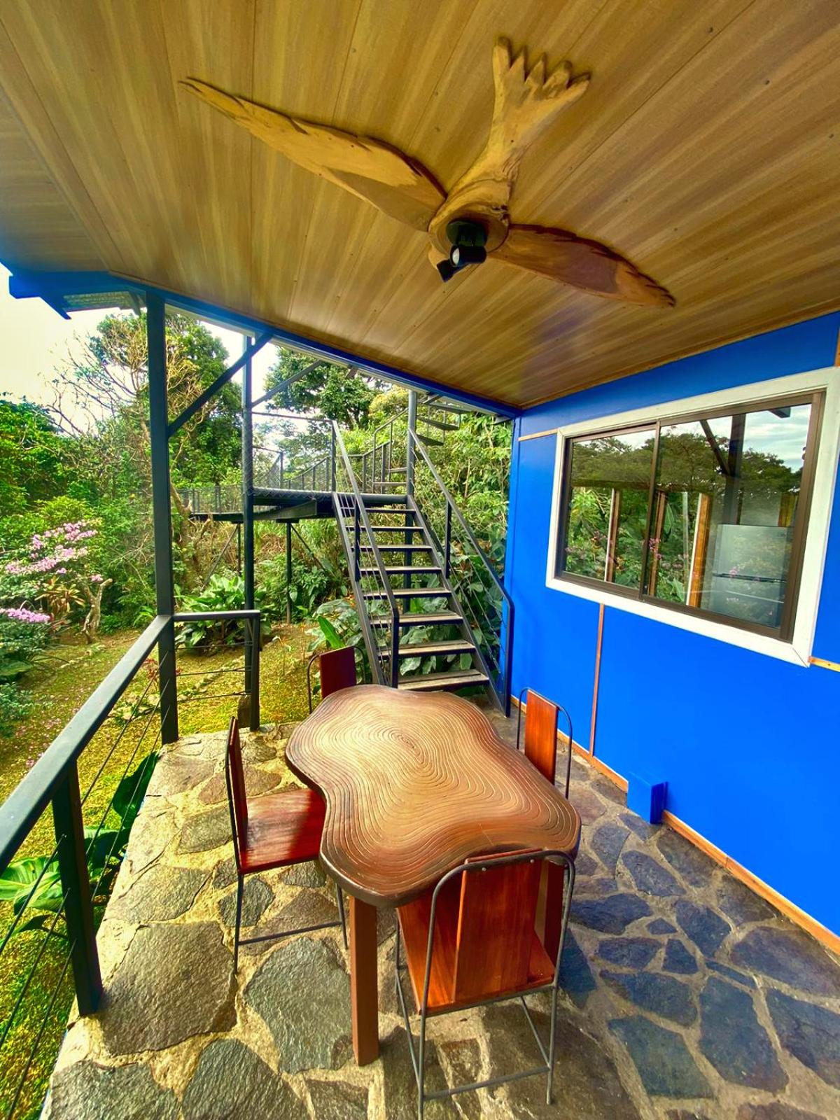 Natural Wonders House