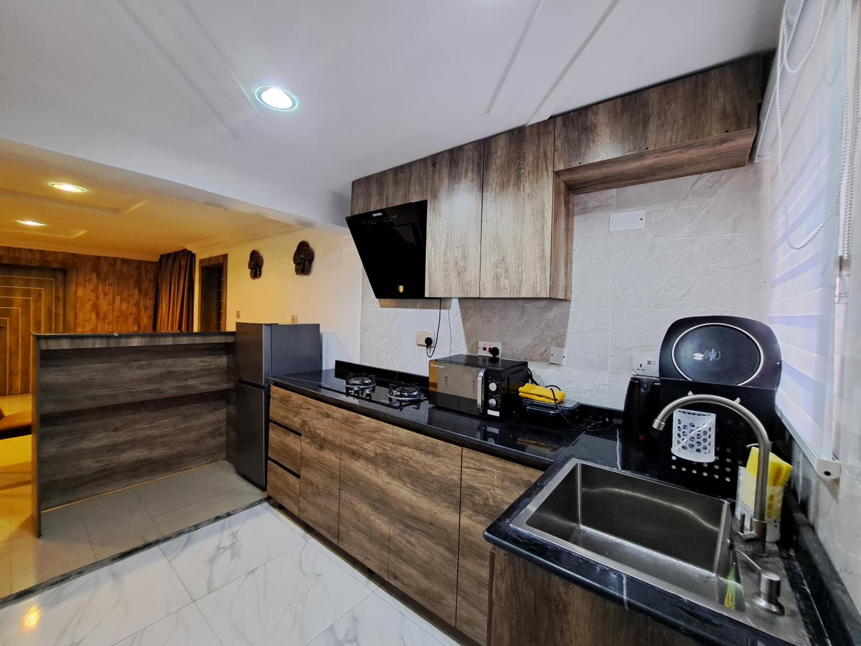 Igbalode Luxury Apartment view 5