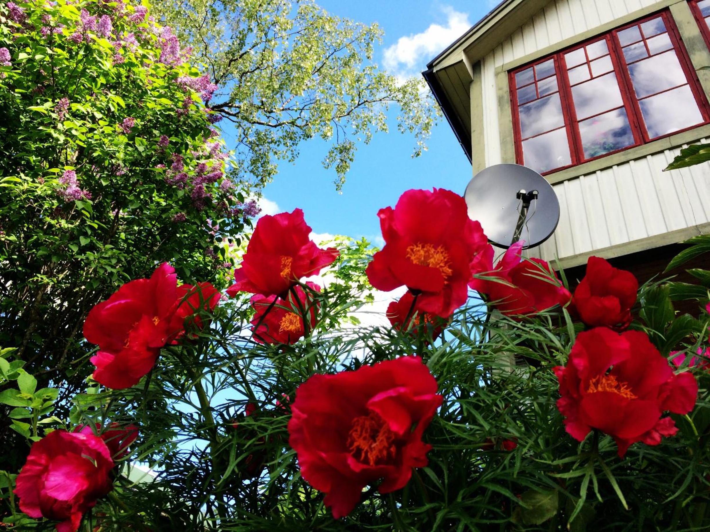 Sweden Slow Living view 3