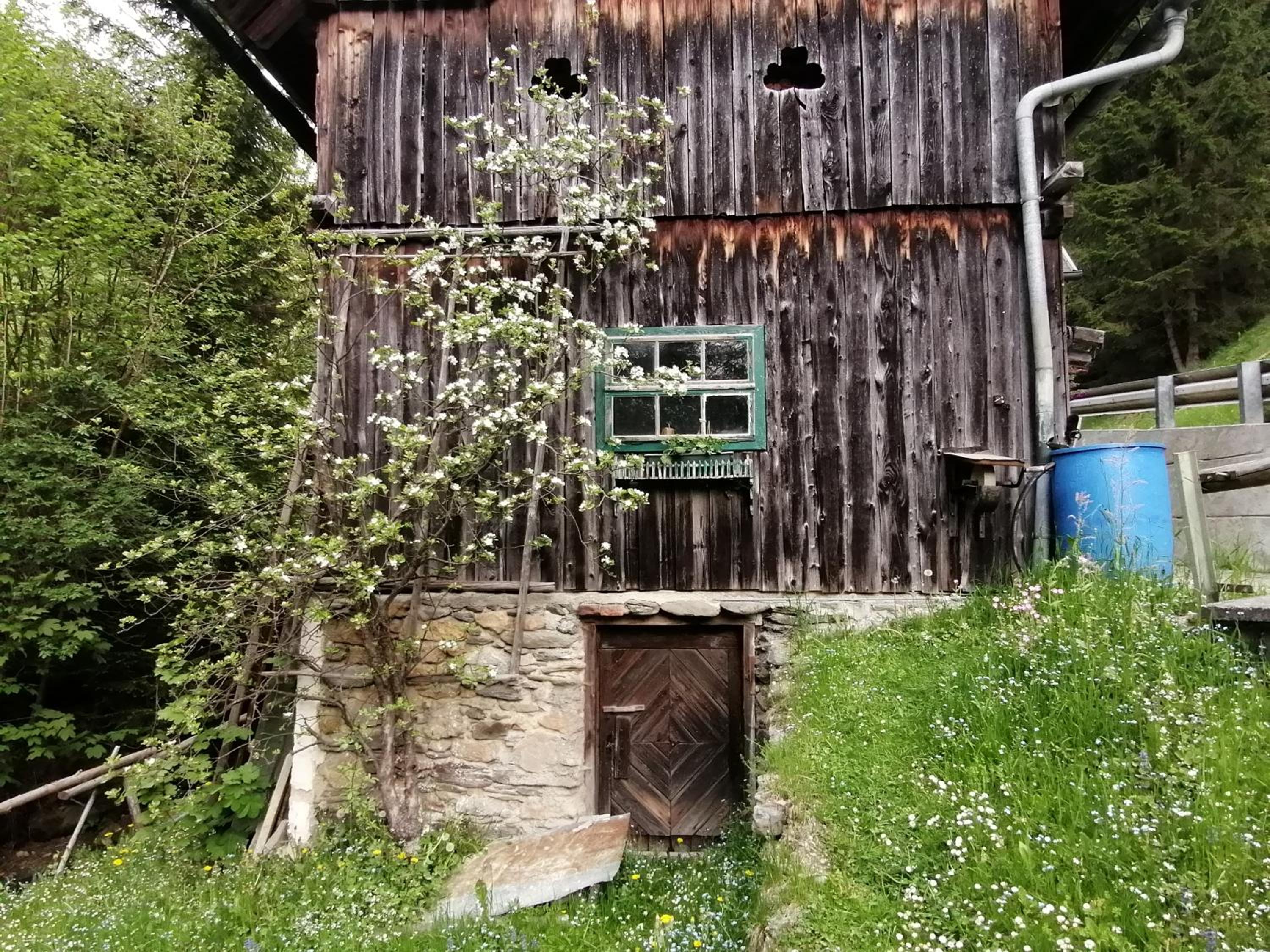 Waldhaus Klein-Veitsch, Auszeit im Grünen