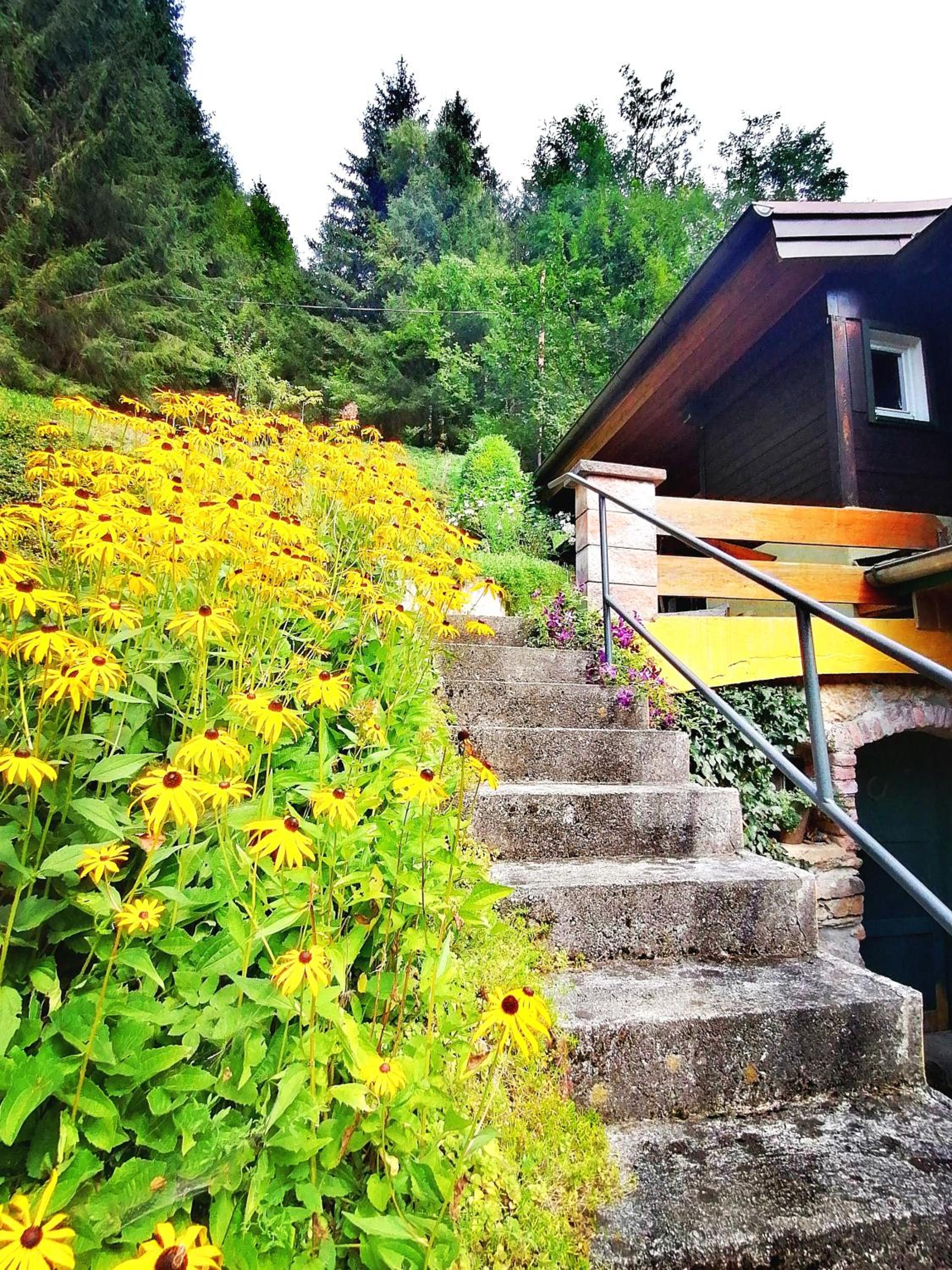 Waldhaus Klein-Veitsch, Auszeit im Grünen