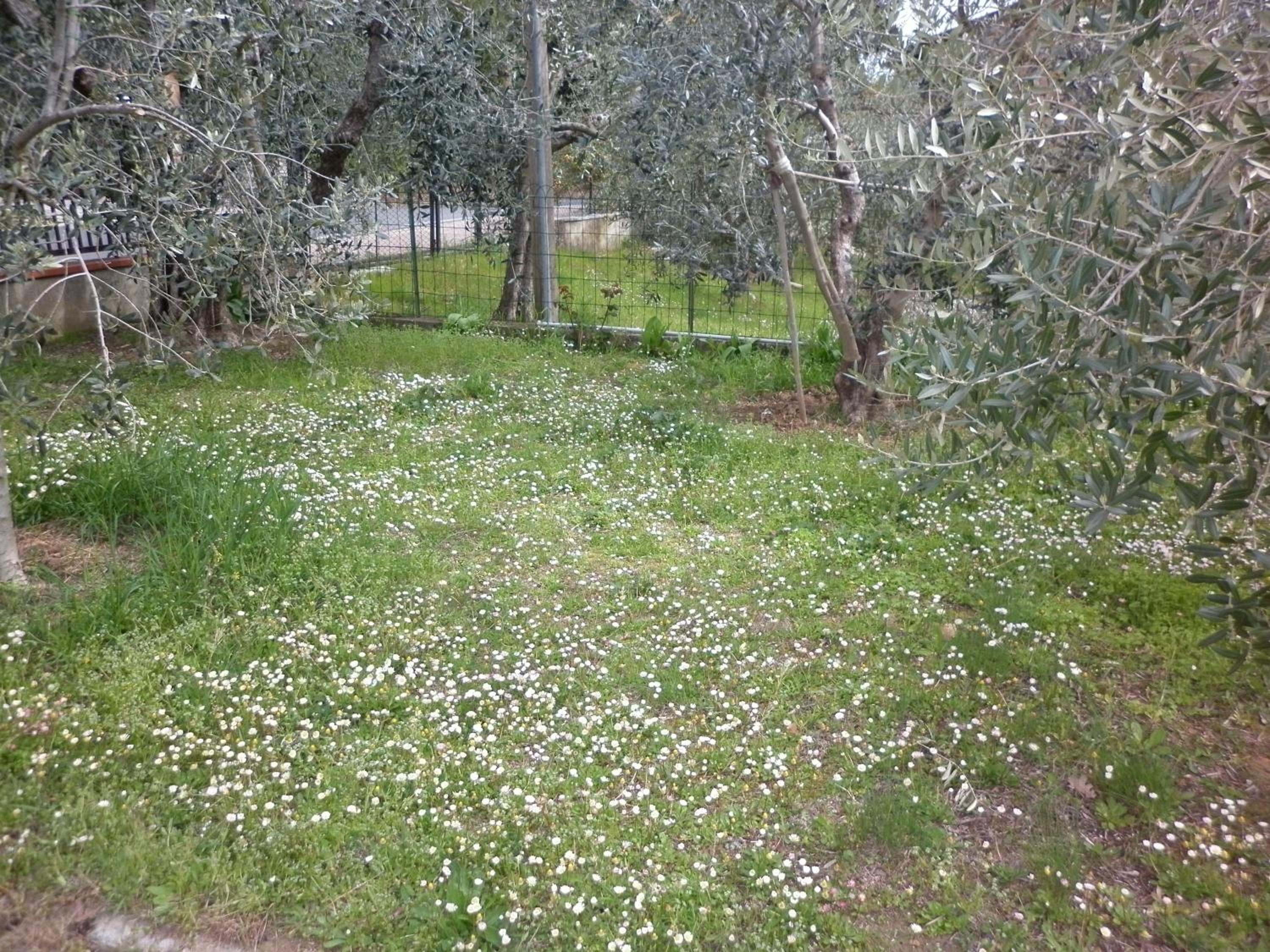 Photo 24