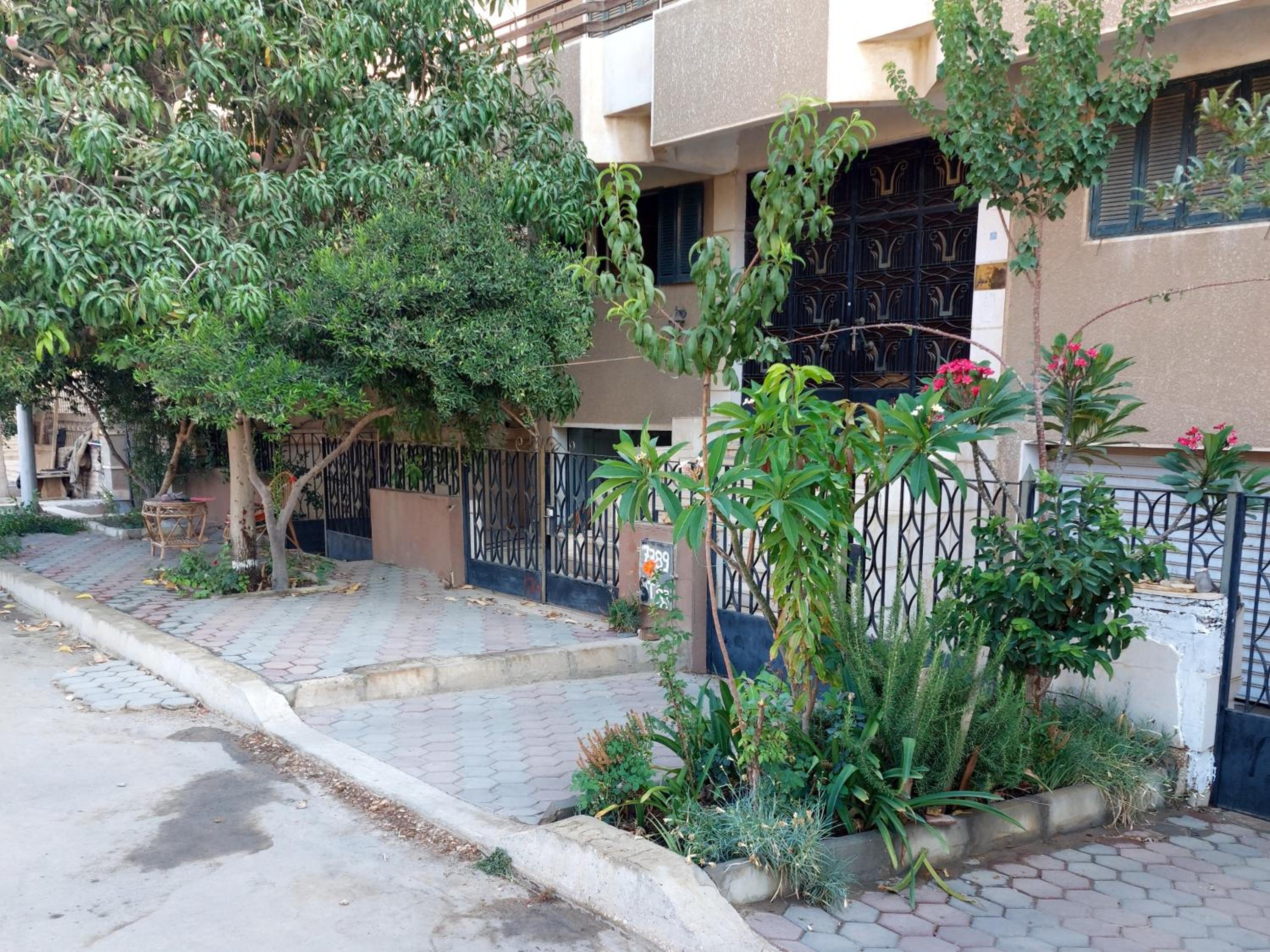 Hisam House -- Mokktam Heights