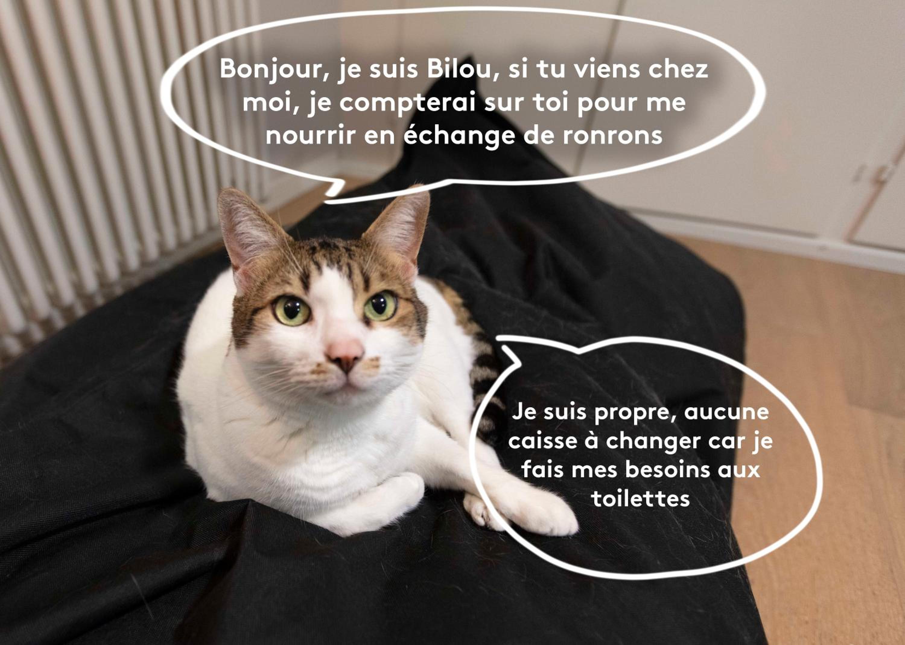 Superbe appart cosy et calme
