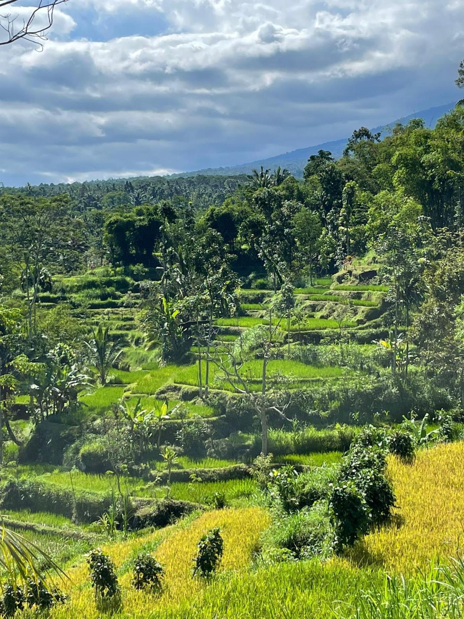 New Rinjani Homestay