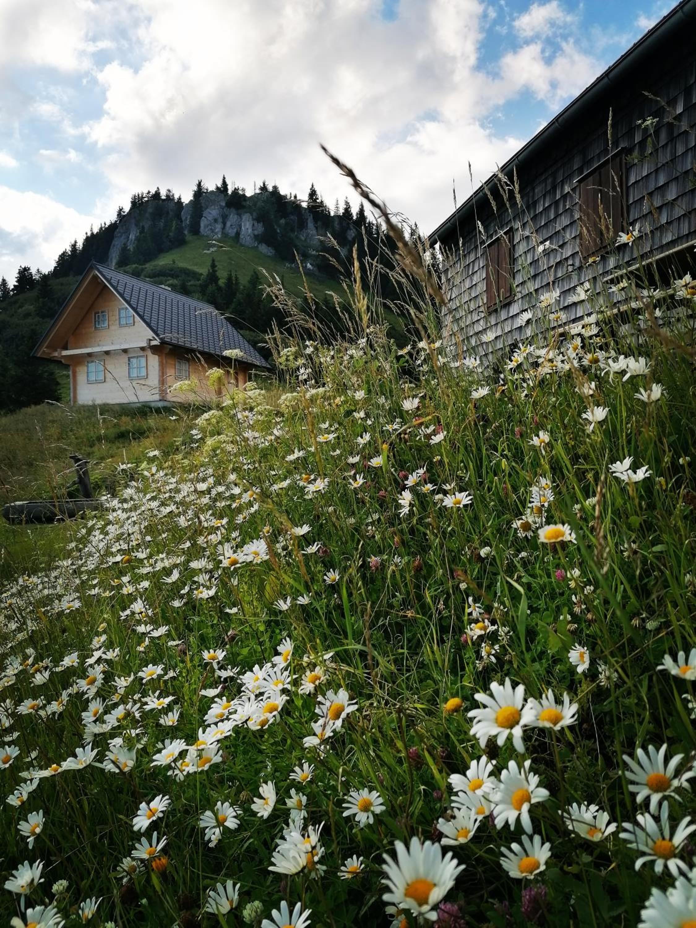 Waldhaus Klein-Veitsch, Auszeit im Grünen