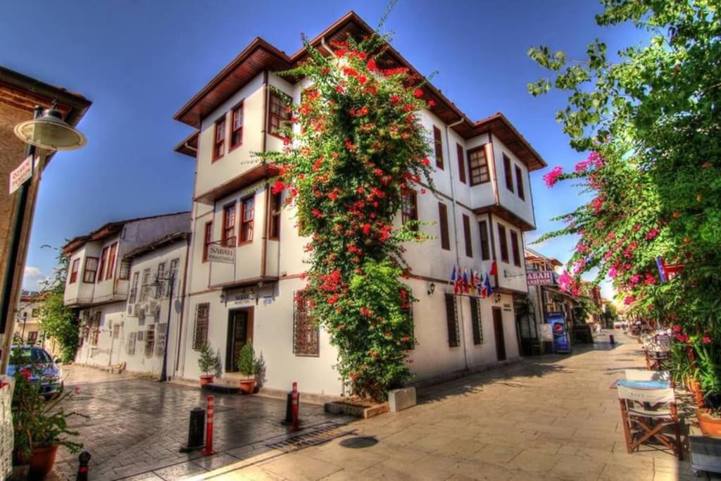 Gurcuoglu Homes